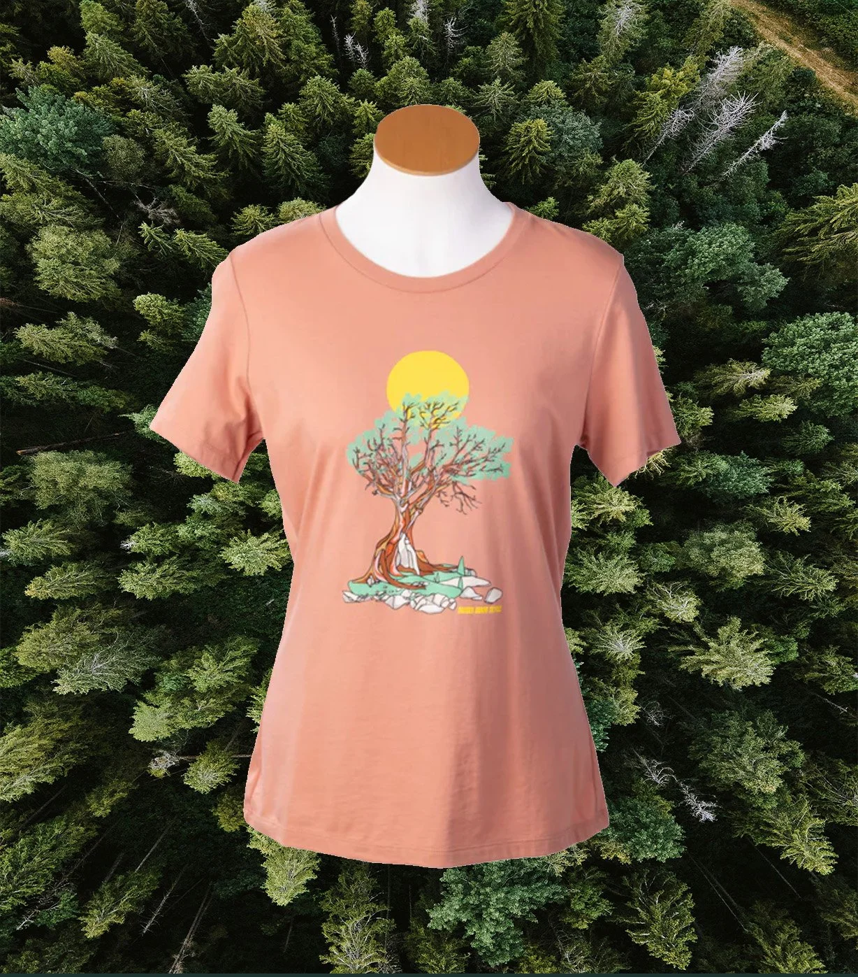 broken arrow bryn juniper.jpg