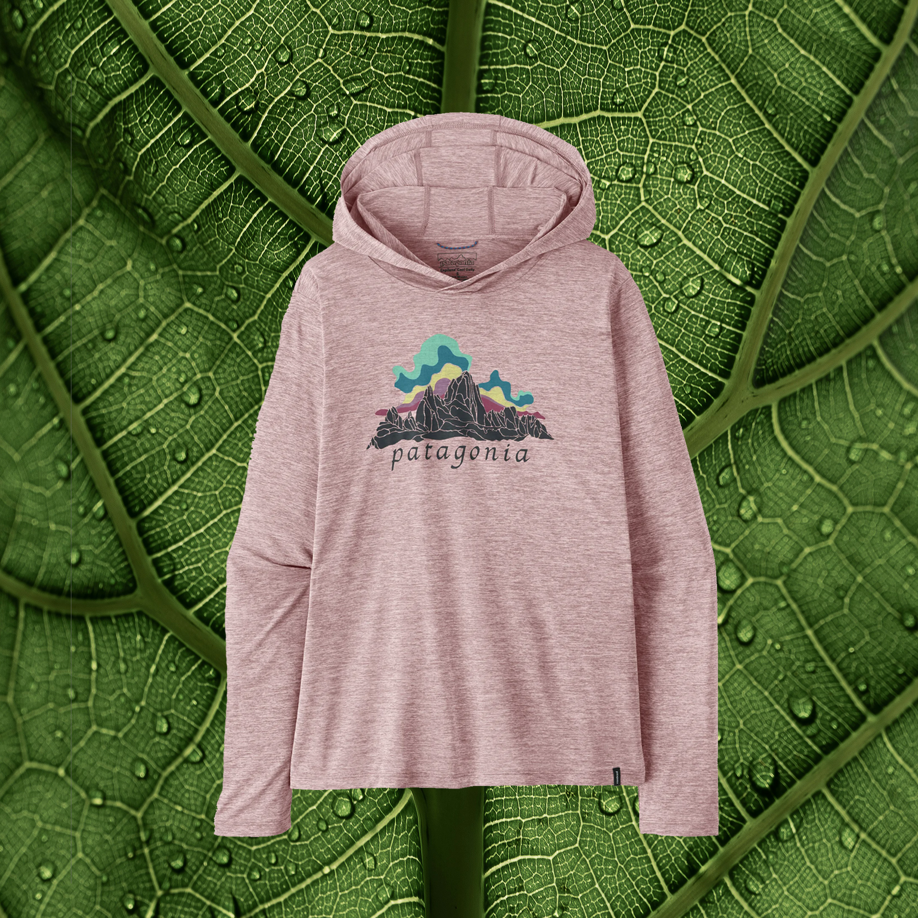 patagonia pink cap.png