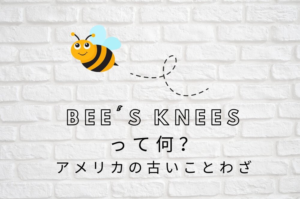古すぎて全く役に立たないけど面白い英語のことわざ イディオム The Bouken Girl