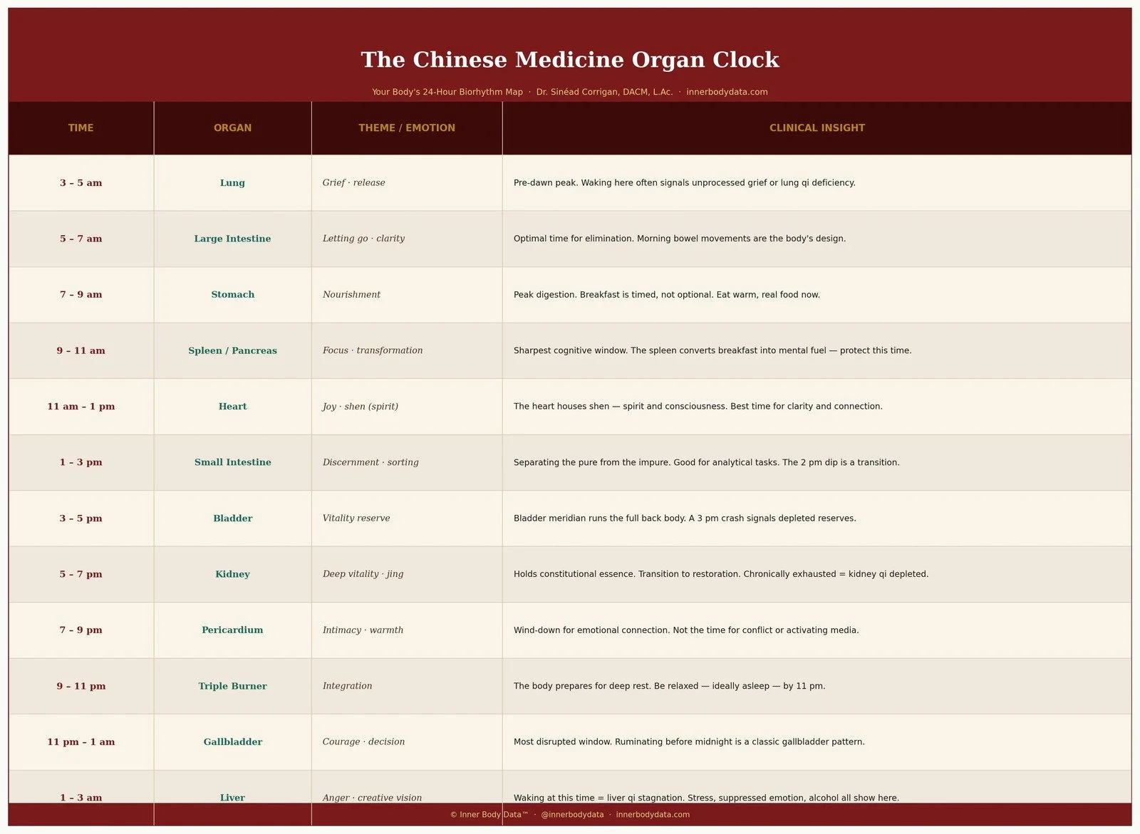 The Chinese Medicine Organ Clock: Your Body's Daily Rhythm