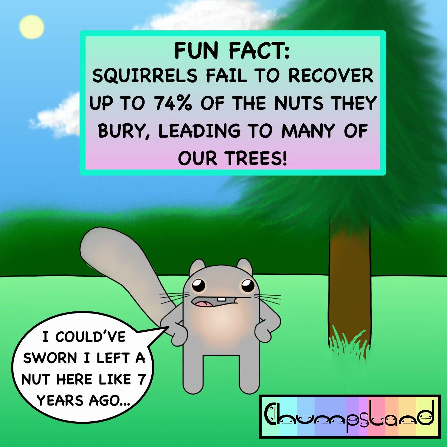 Fun Fact About Squirrels