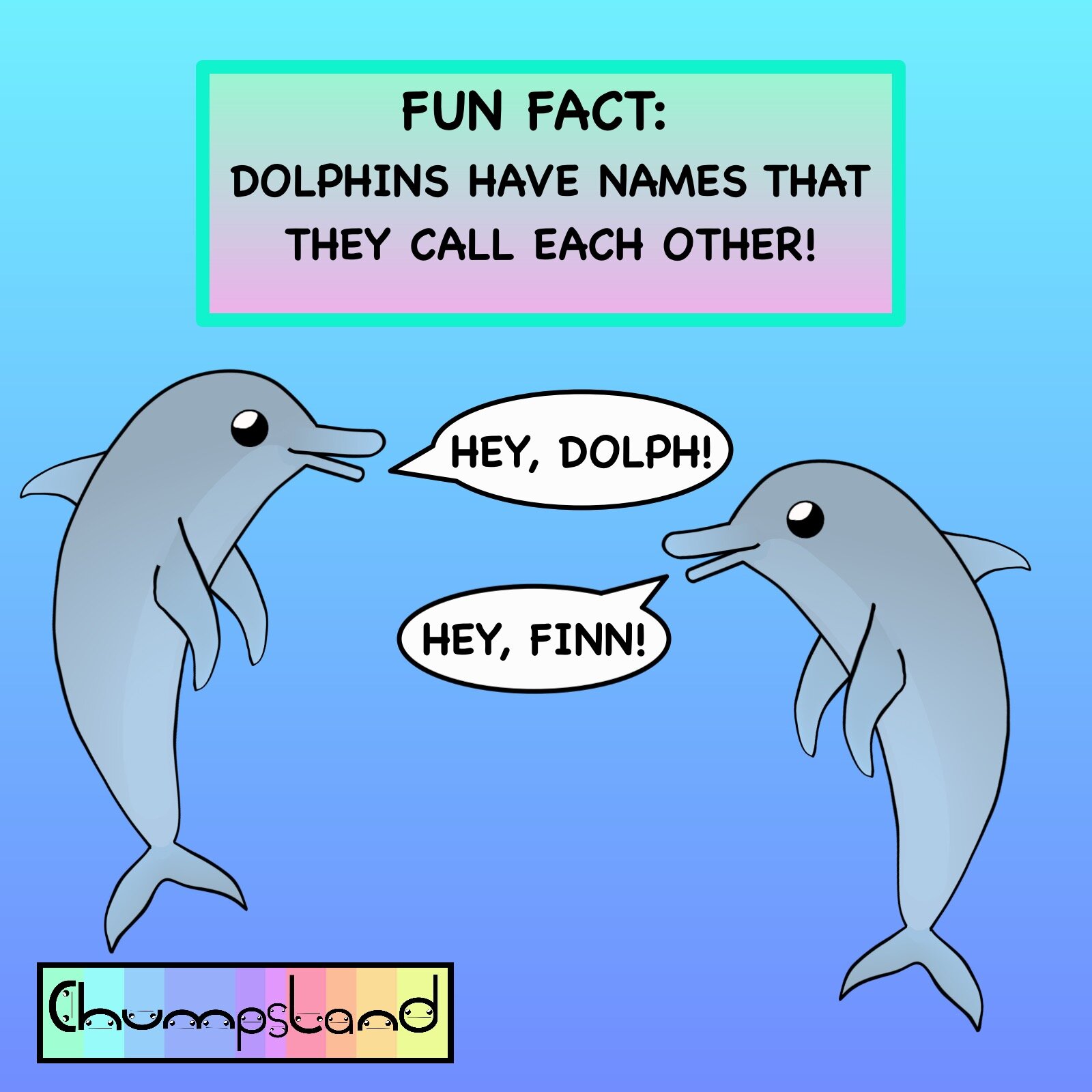 Fun Fact About Dolphins