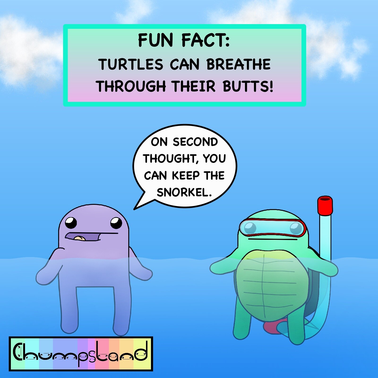 Fun Fact About Turtles