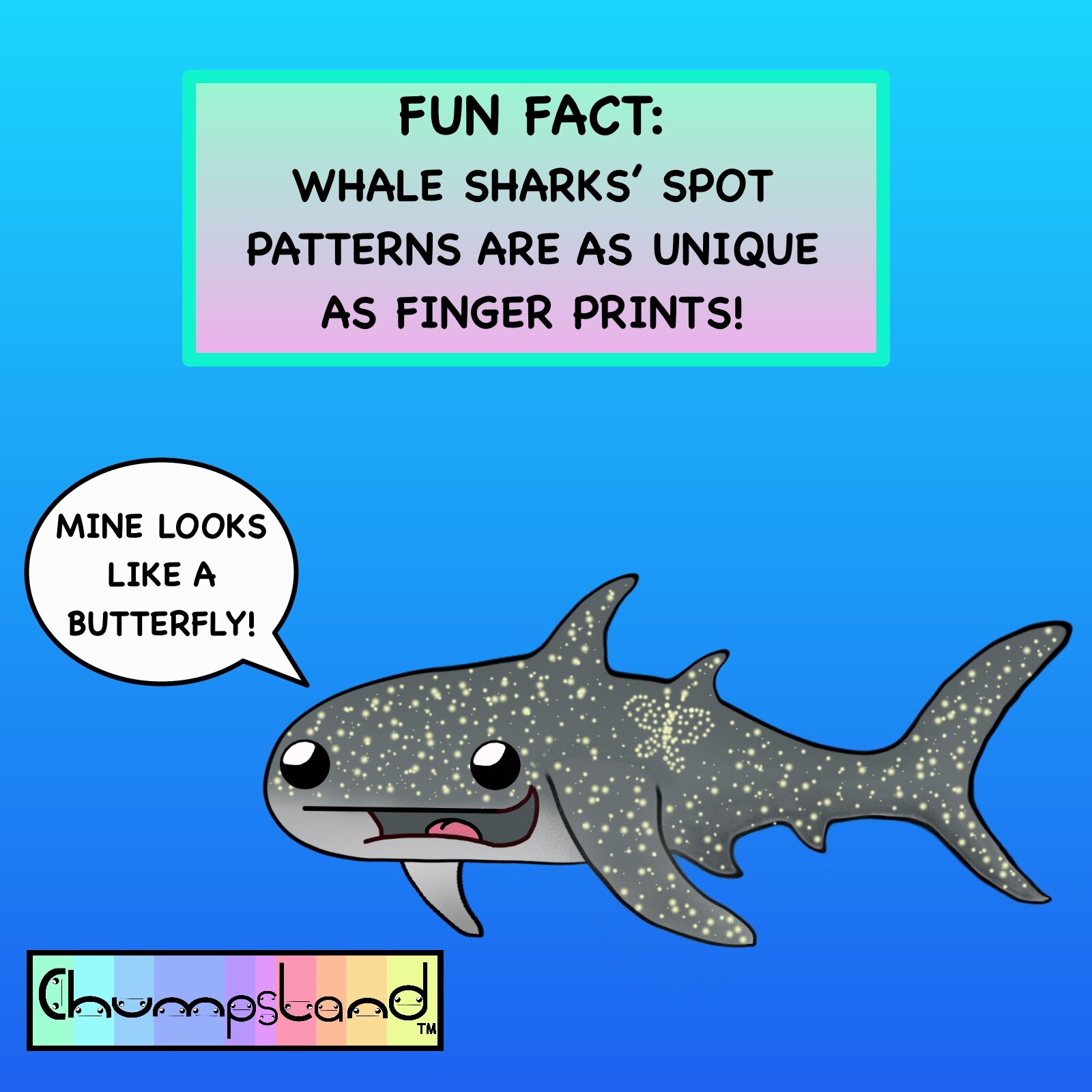Fun Fact About Whale Sharks