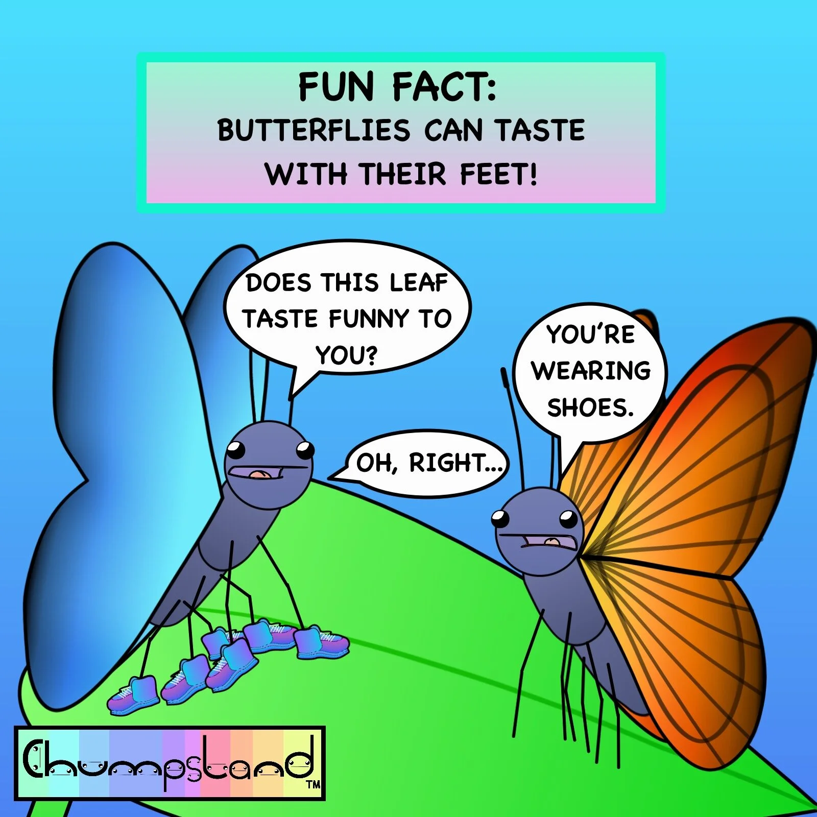 Fun Fact About Butterflies