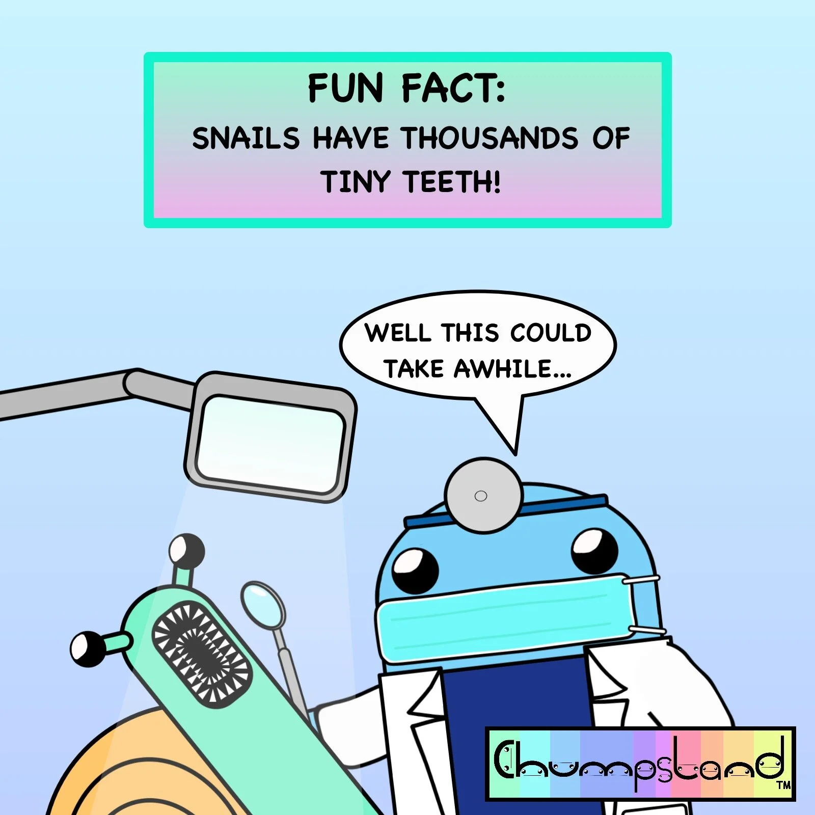 Fun Fact About Snails