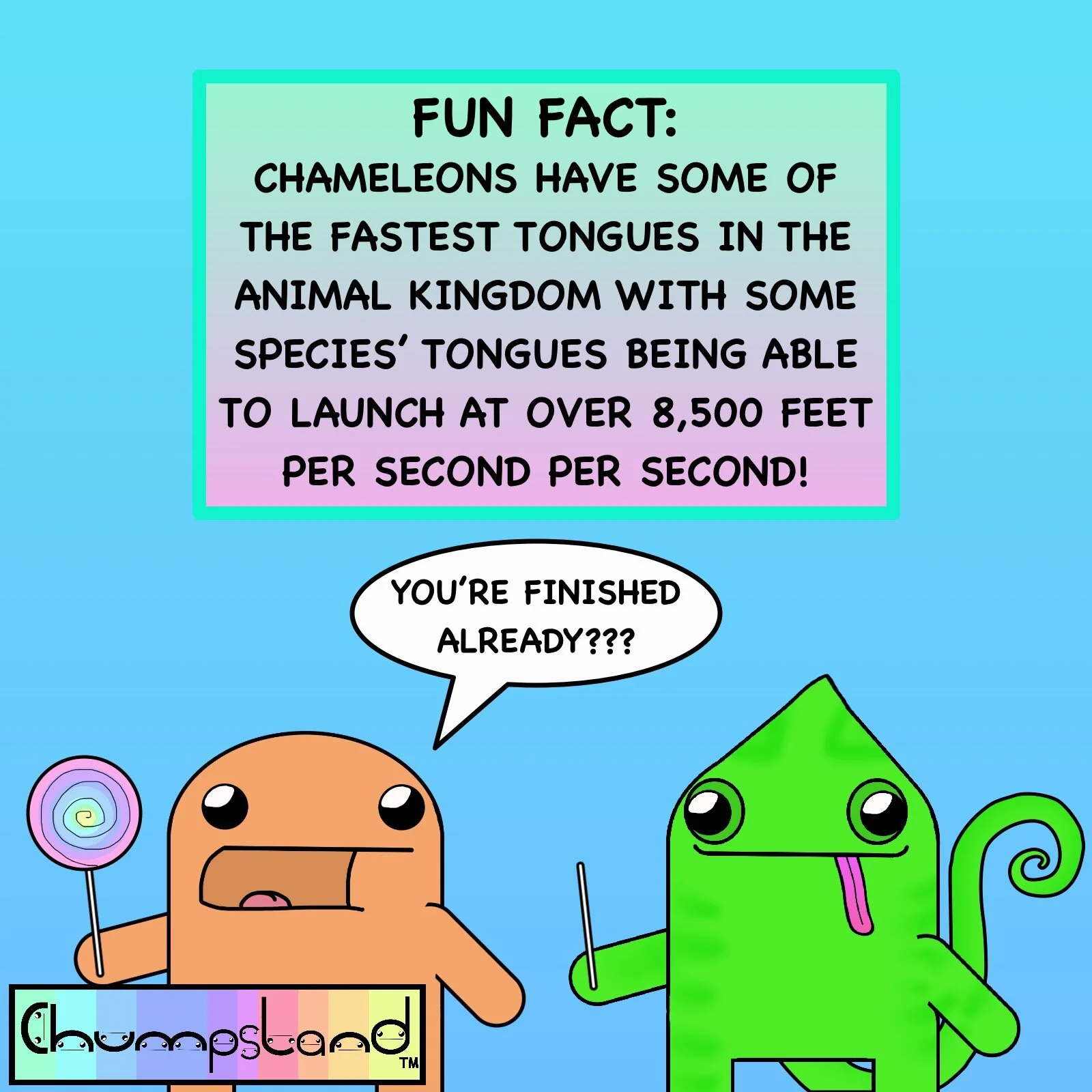 Fun Fact About Chameleons