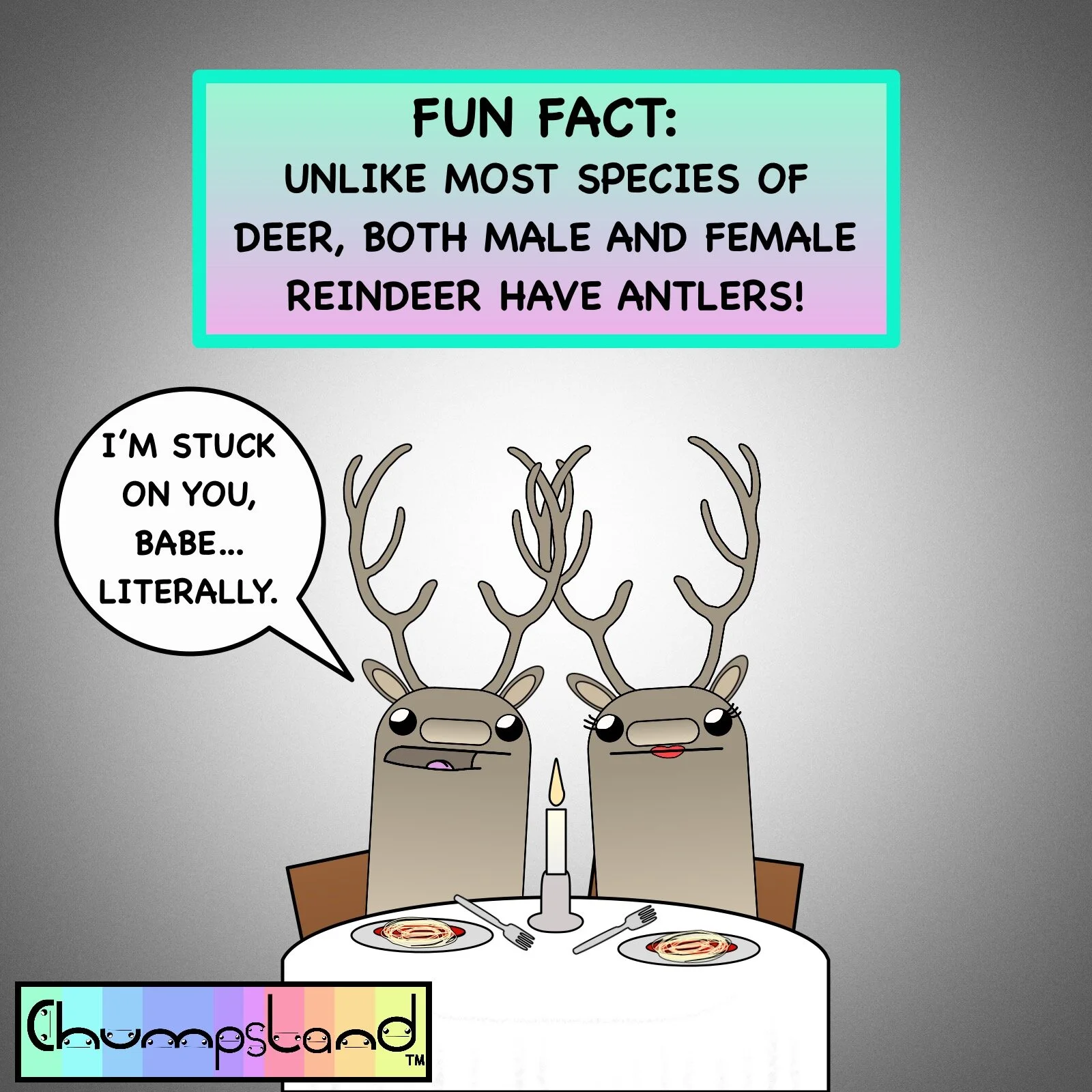 Fun Fact About Deer