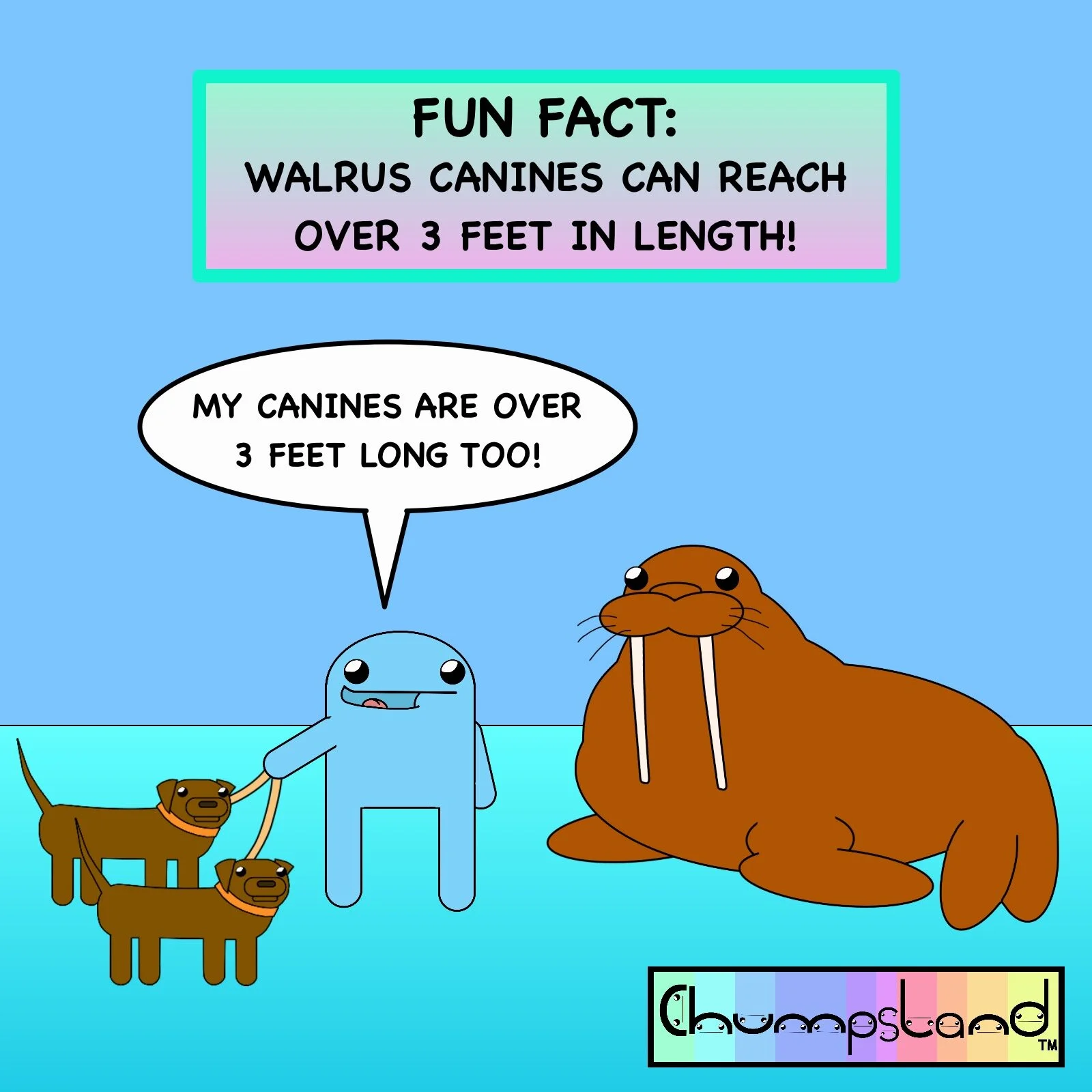 Fun Fact About Walruses