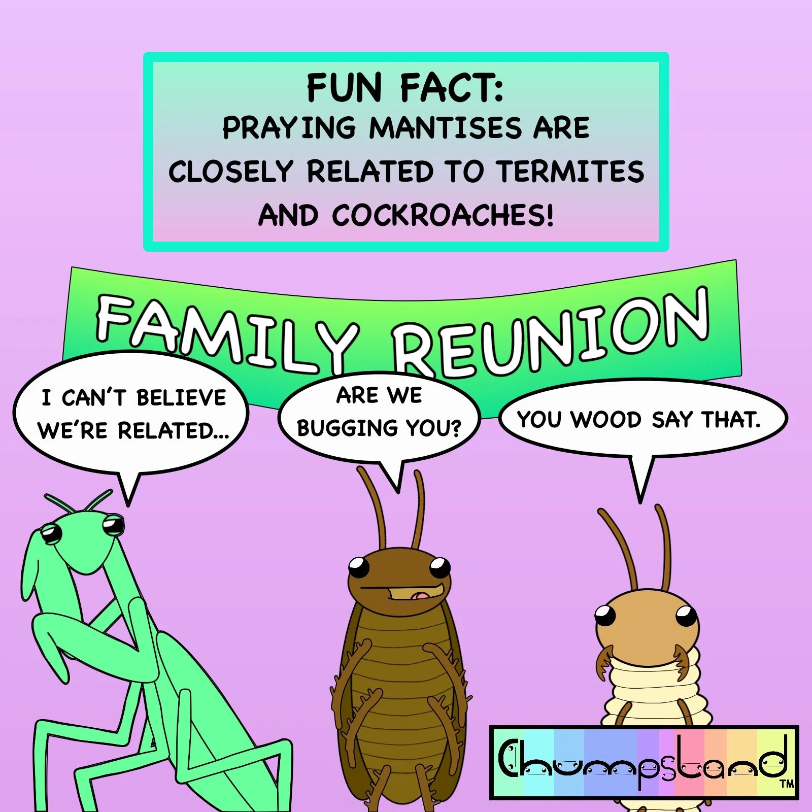 Fun Fact About Mantises