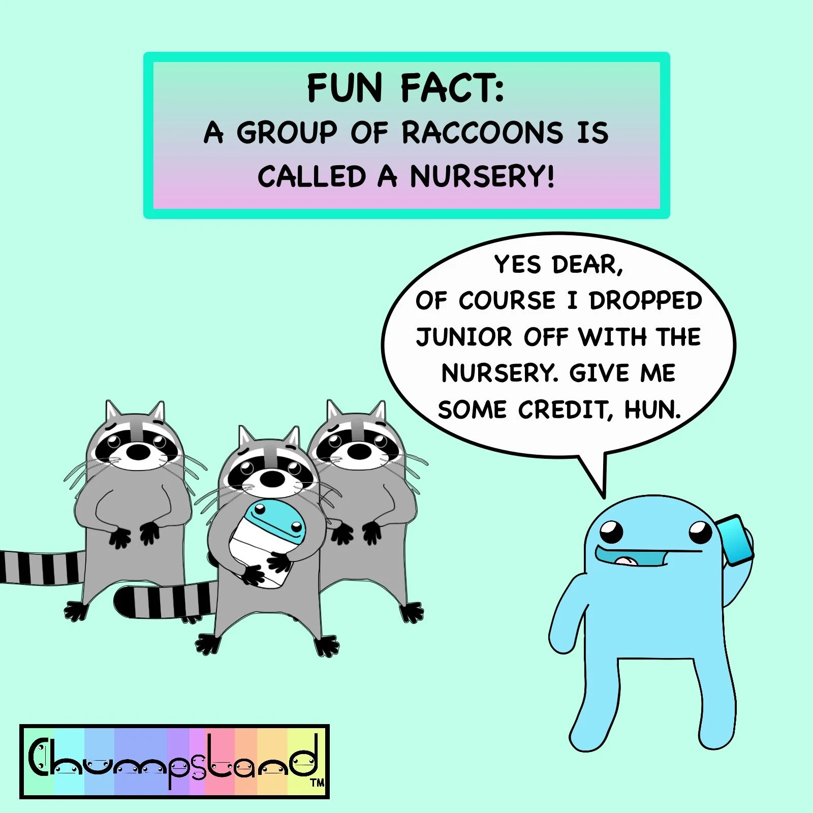 Fun Fact About Raccoons