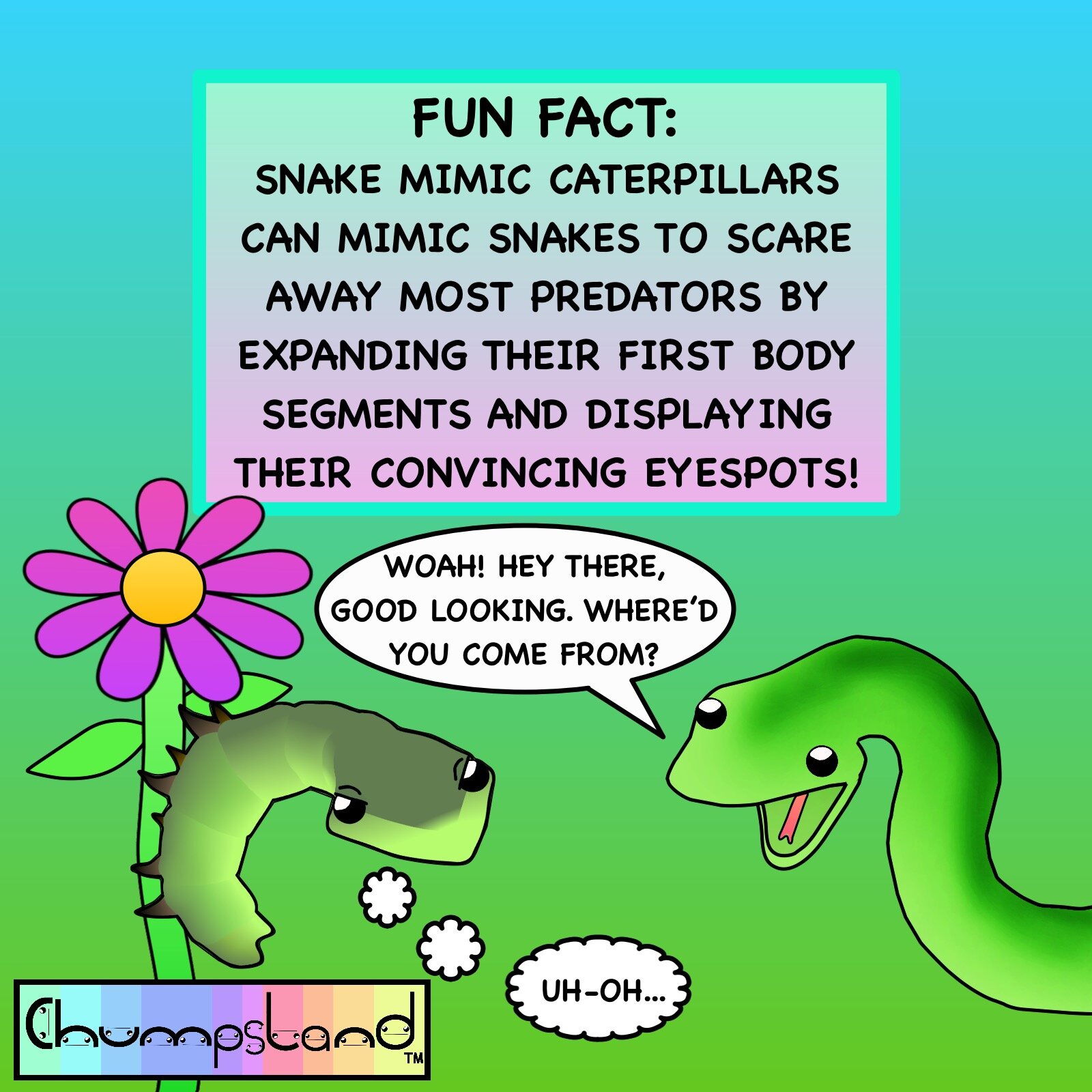 Fun Fact About Snake Mimic Caterpillars