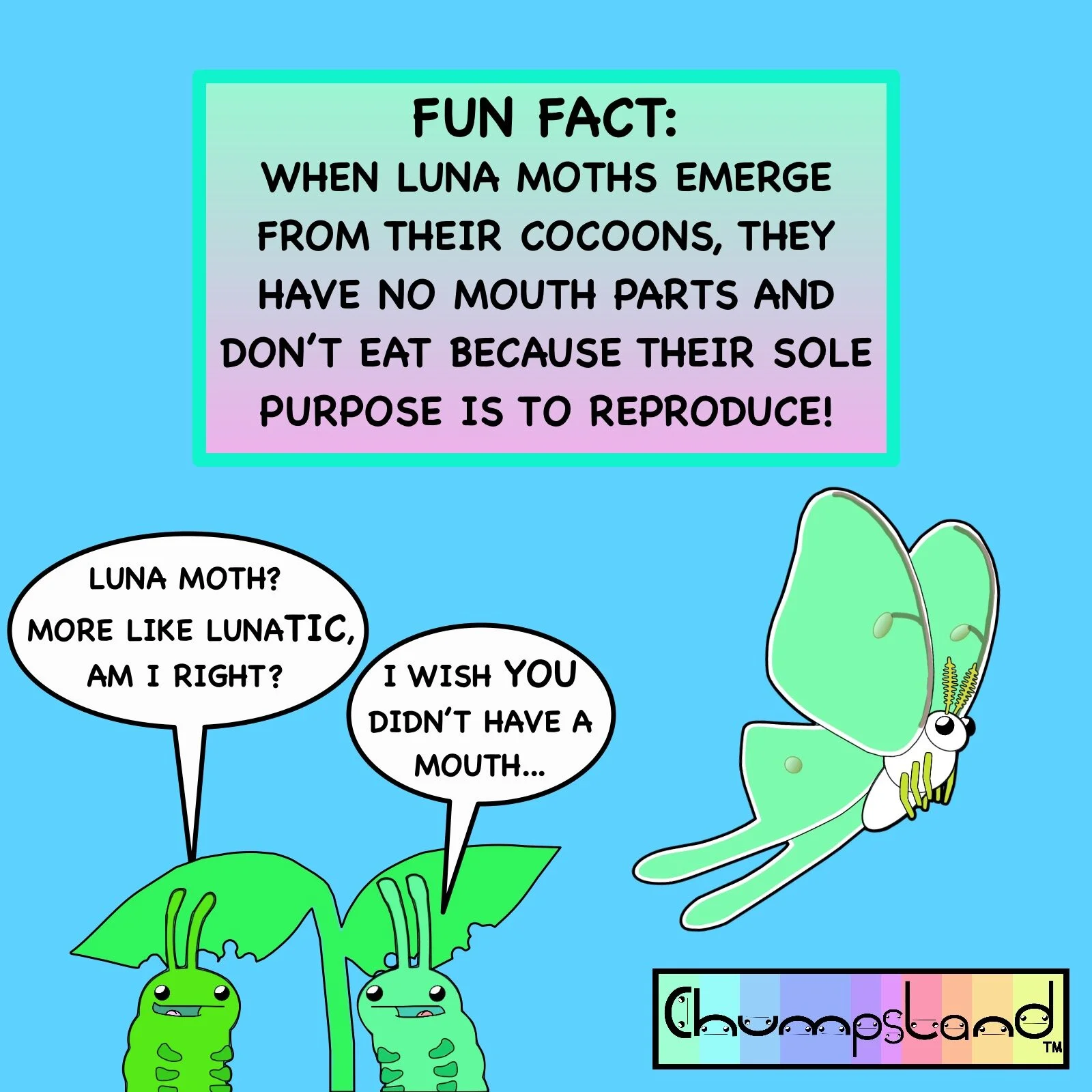 Fun Fact About Luna Moths