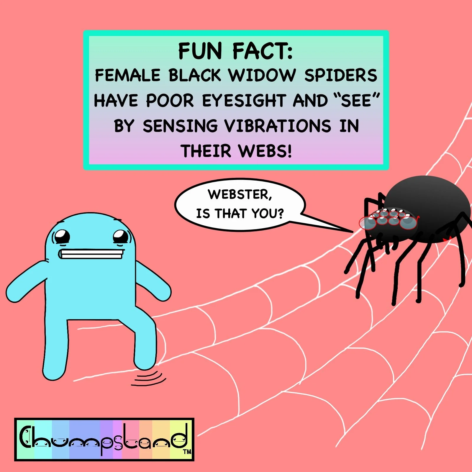 Fun Fact About Black Widow Spiders