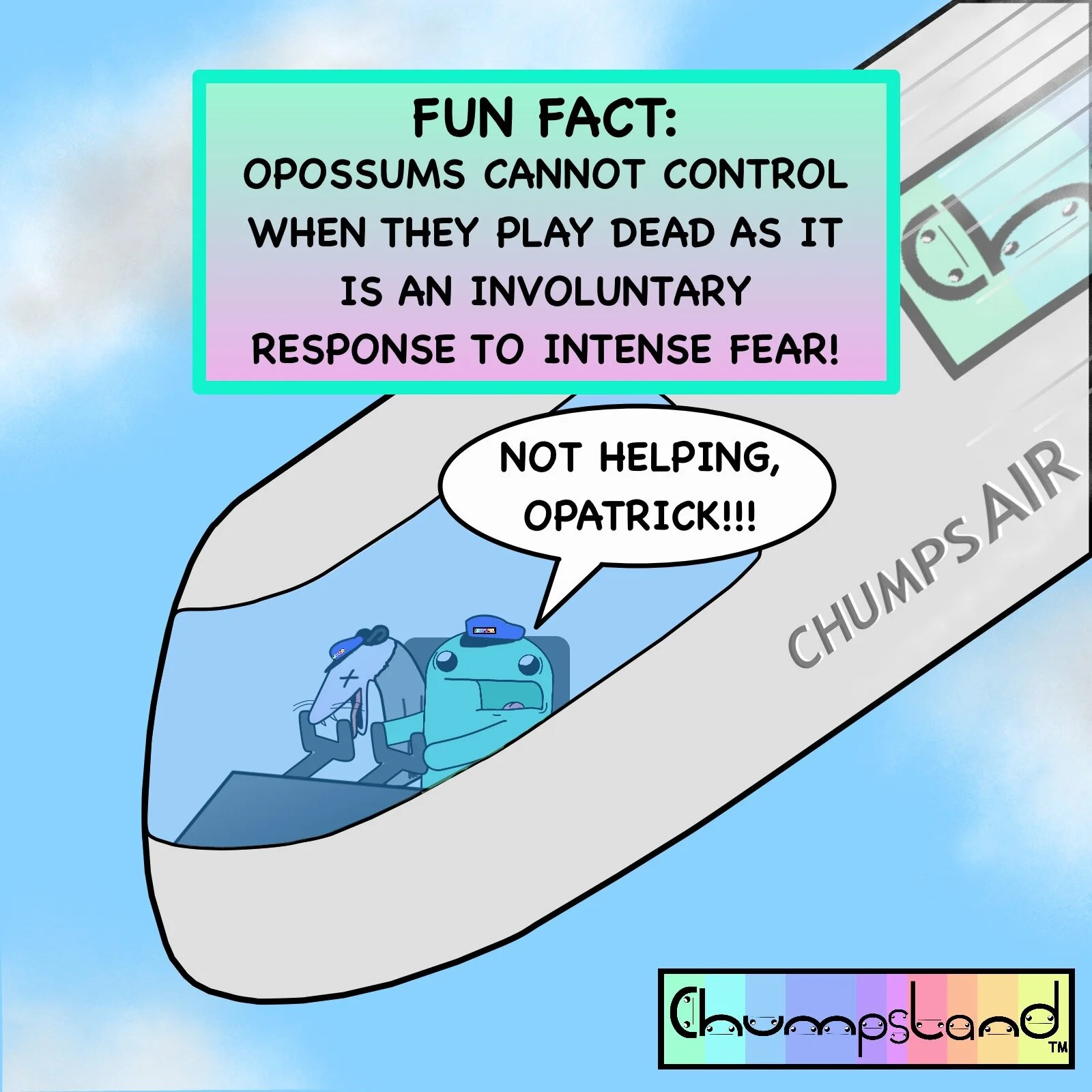 Fun Fact About Opossums