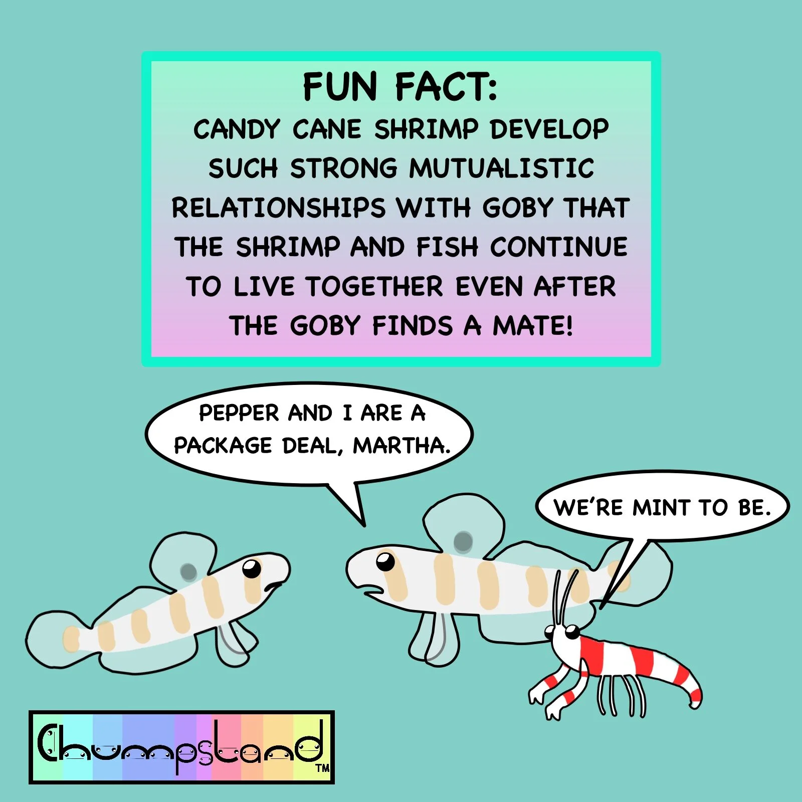 Fun Fact About Candy Cane Shrimp