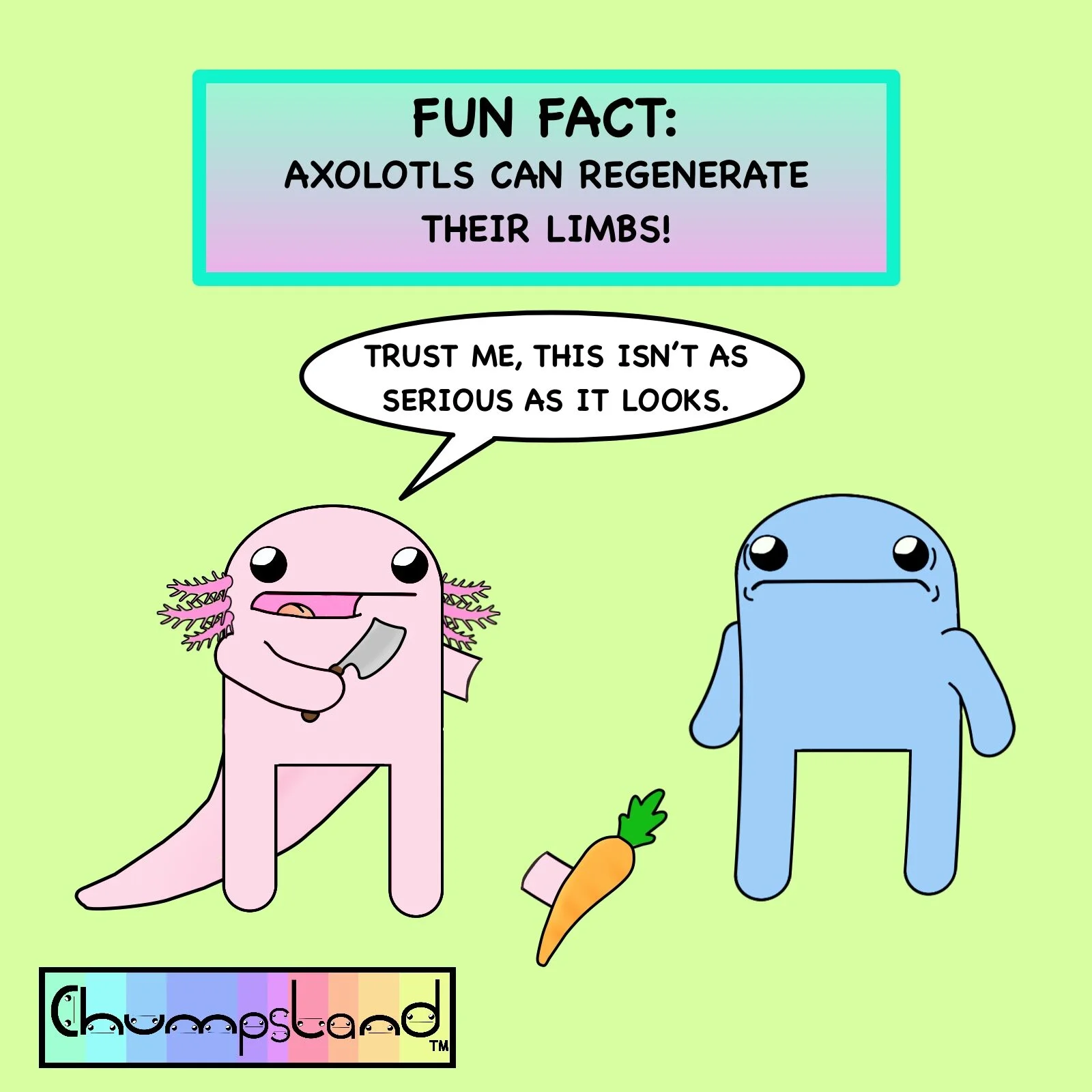 Fun Fact About Axolotls