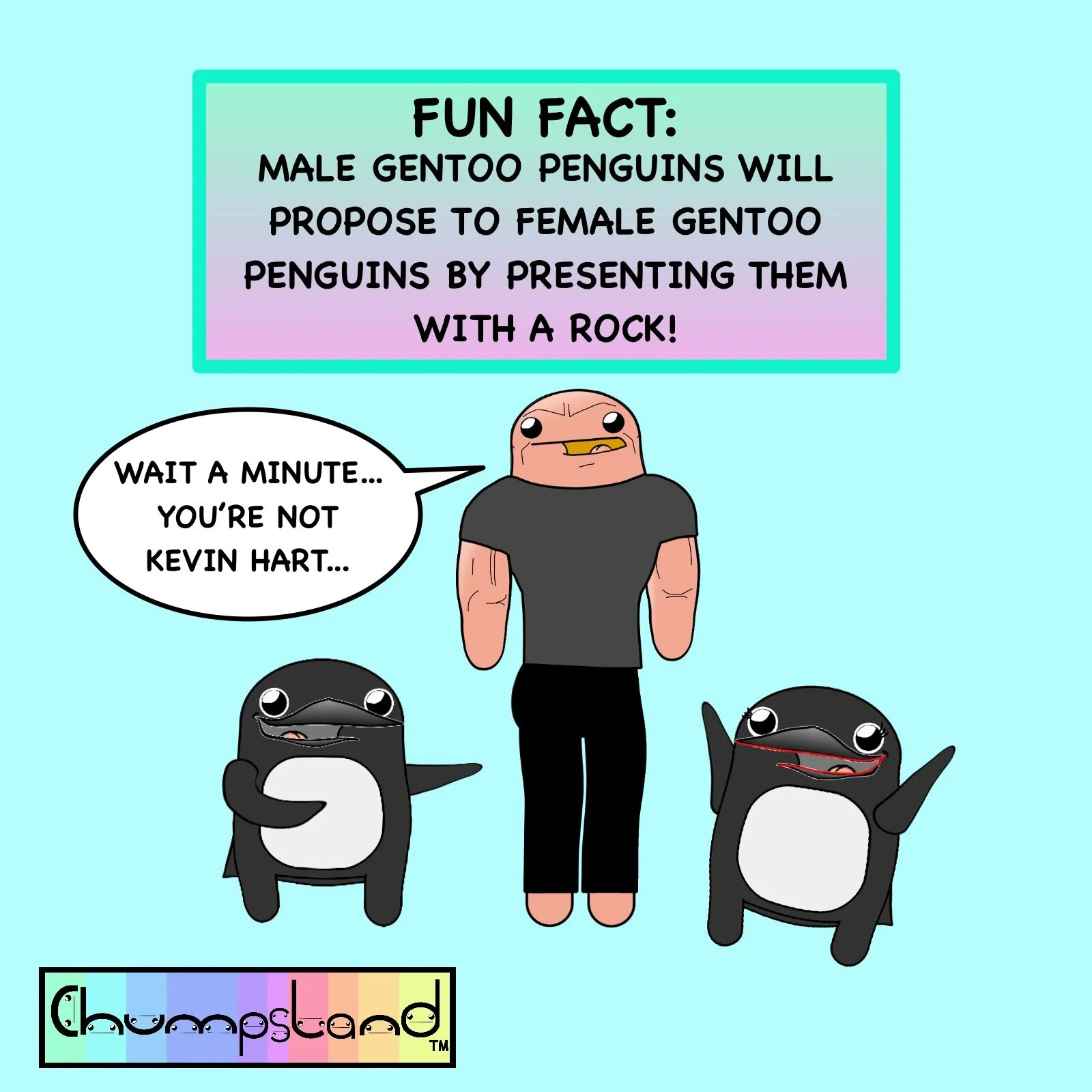Fun Fact About Gentoo Penguins