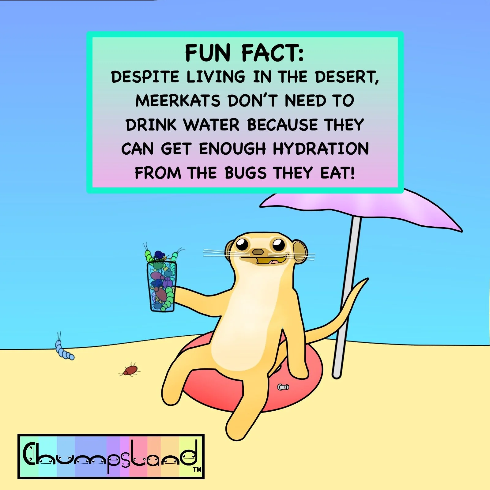 Fun Fact About Meerkats