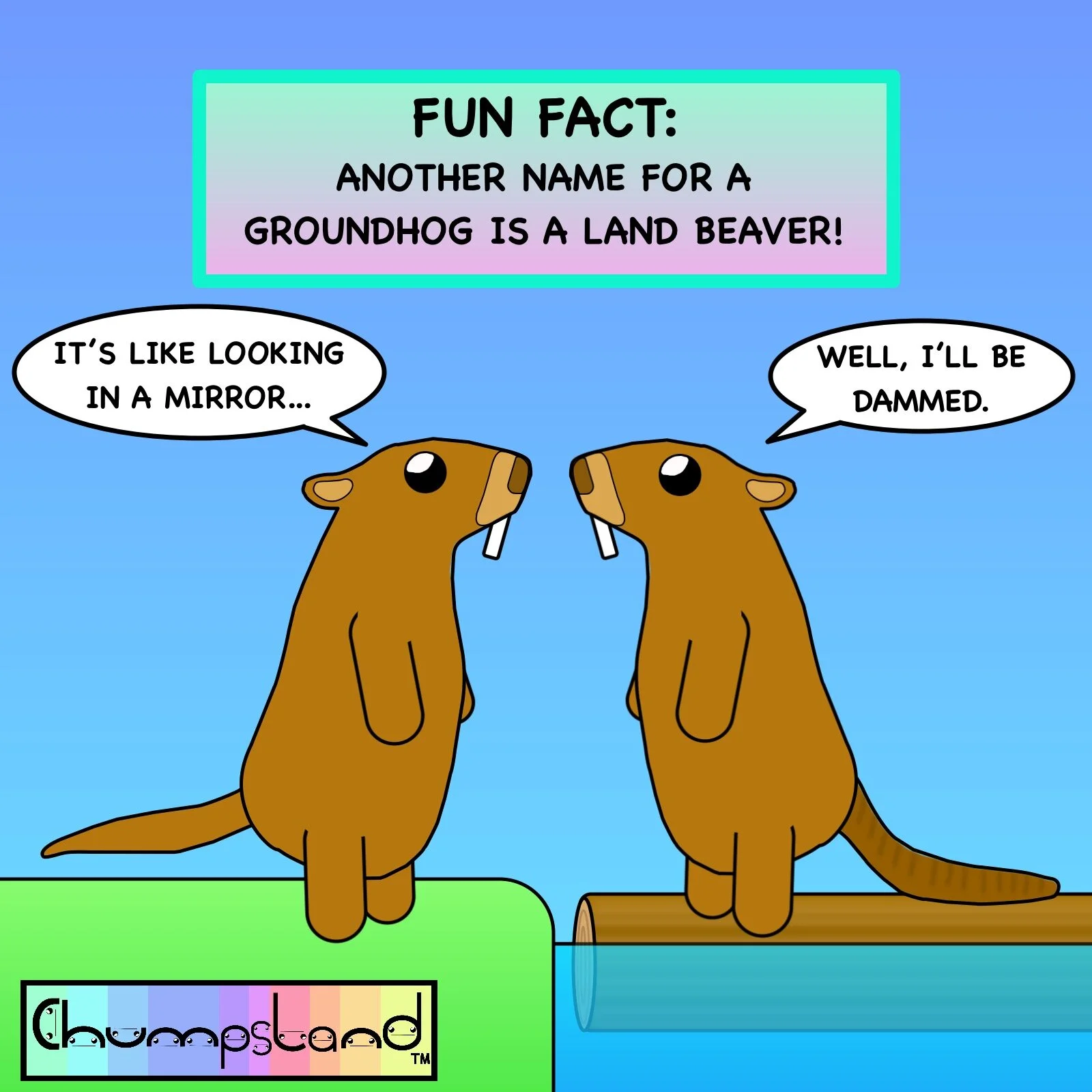 Fun Fact About Groundhogs