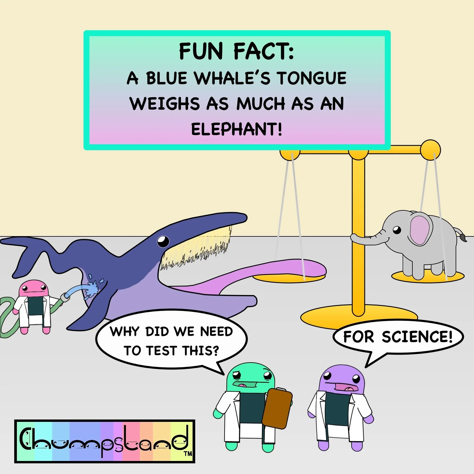 Fun Fact About Blue Whales