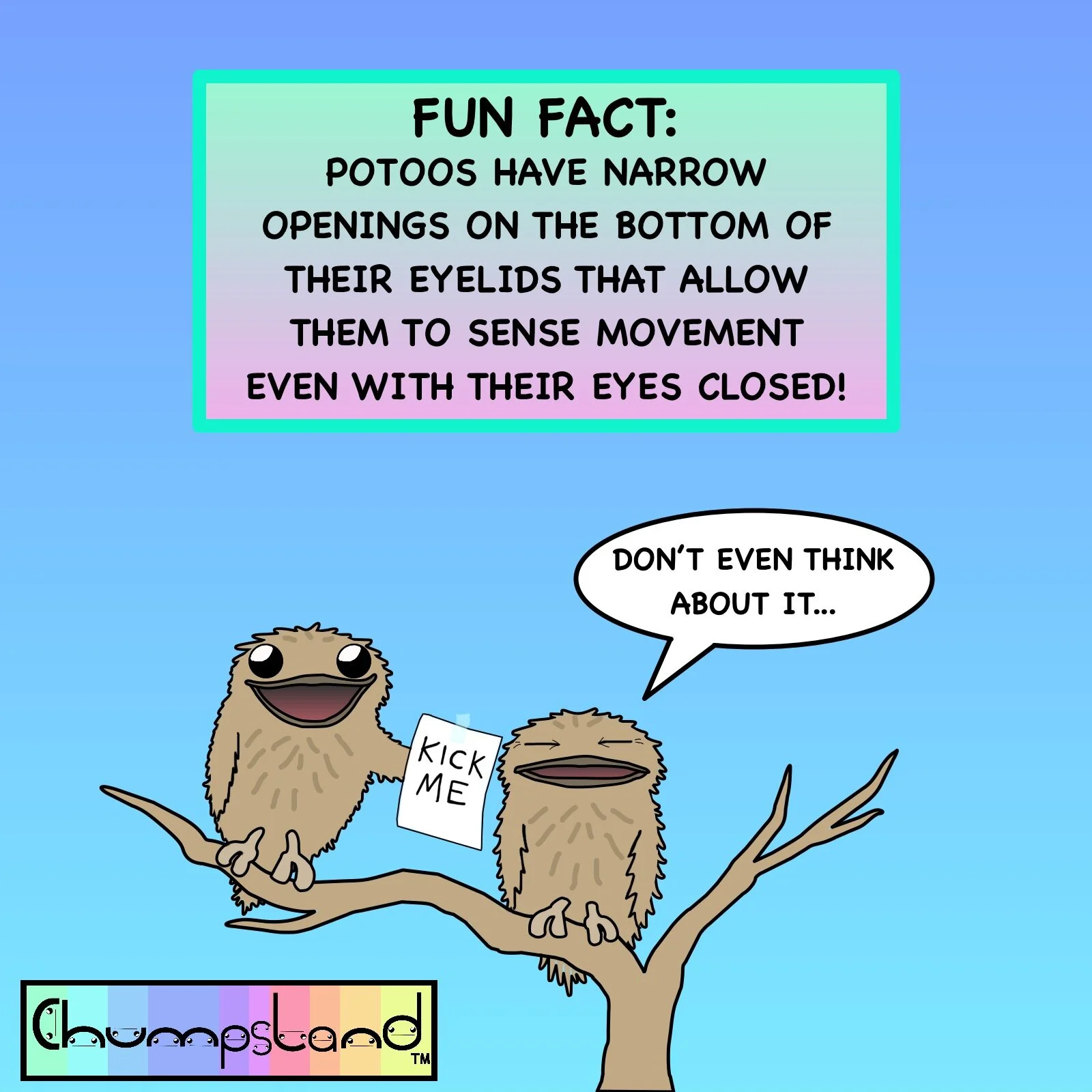 Fun Fact About Potoos