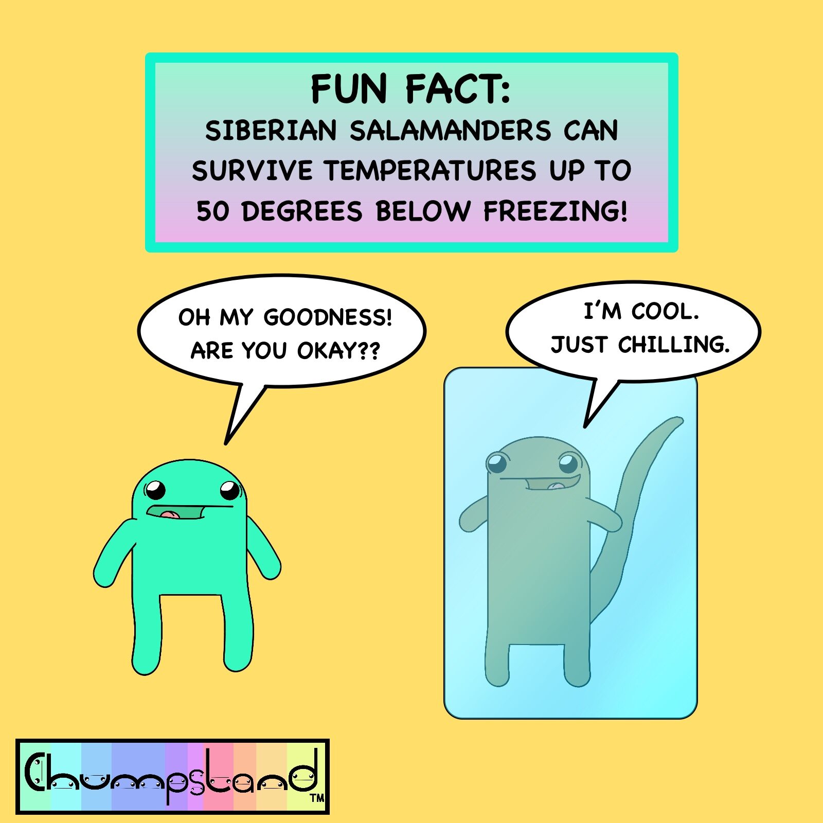 Fun Fact About Siberian Salamanders