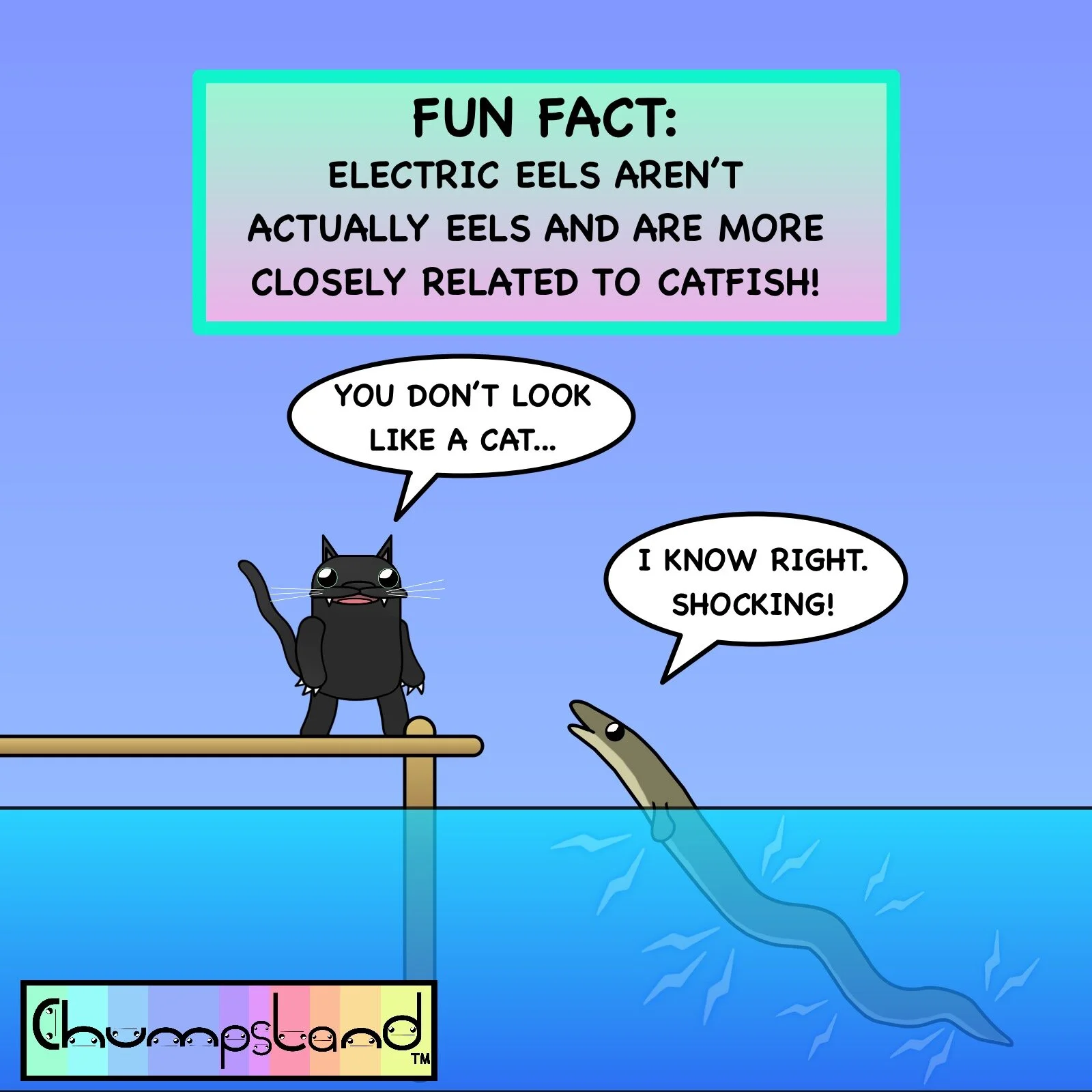 Fun Fact About Electric Eels