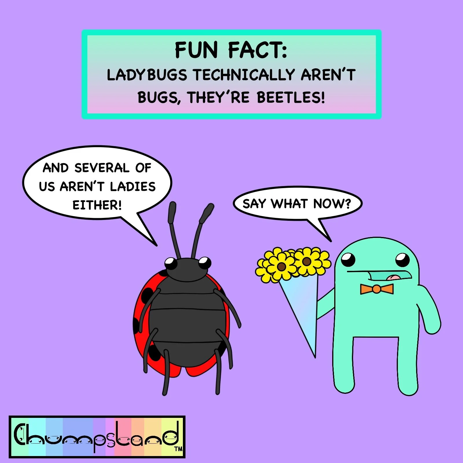 Fun Fact About Ladybugs