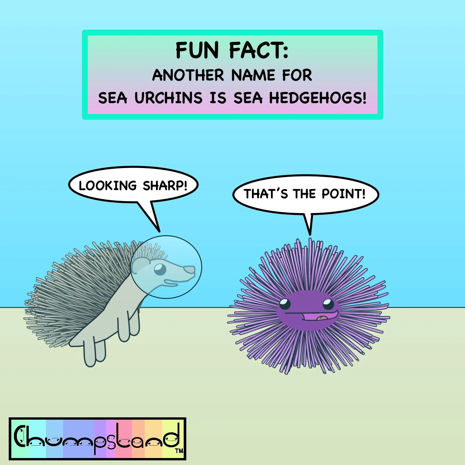 Fun Fact About Sea Urchins
