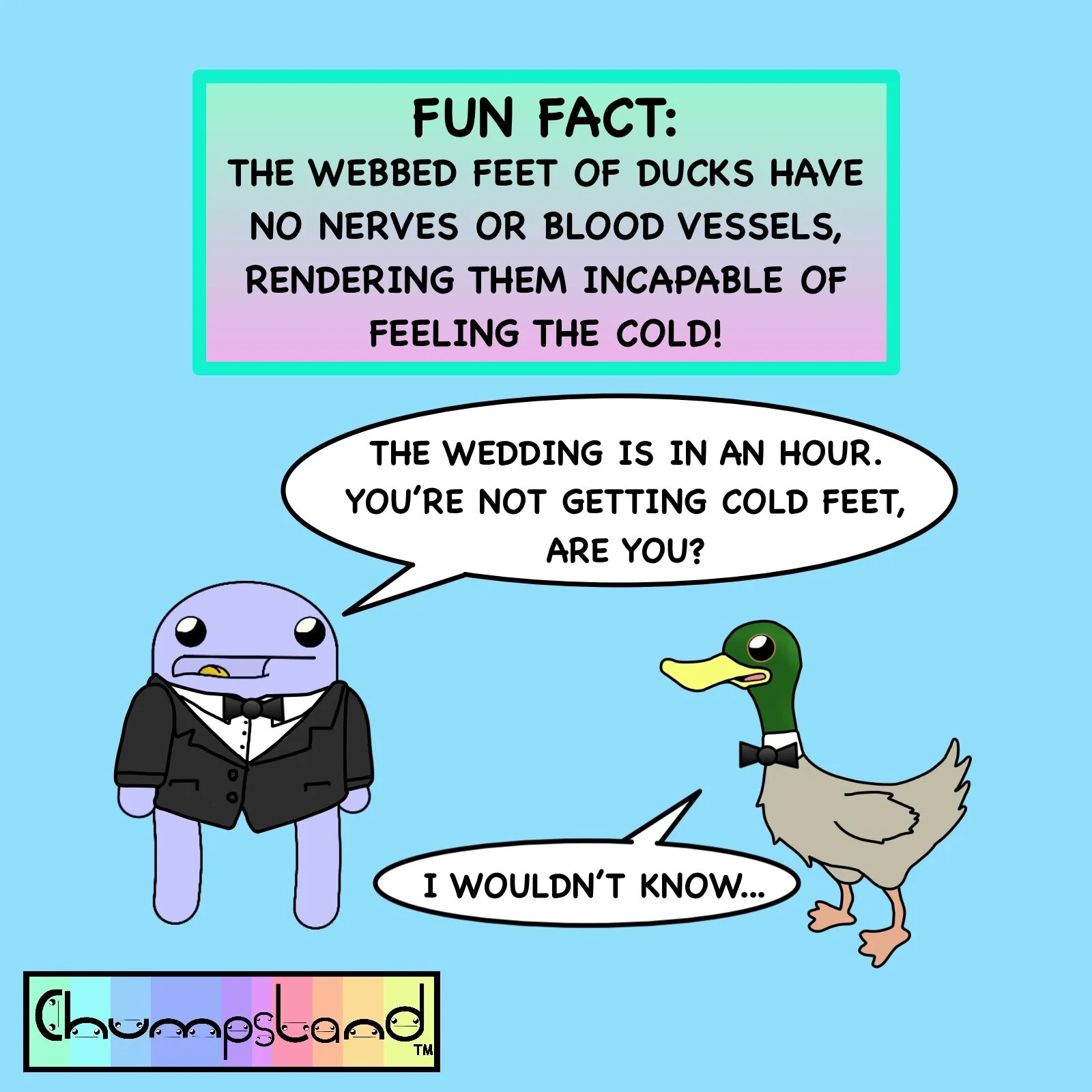 Fun Fact About Ducks