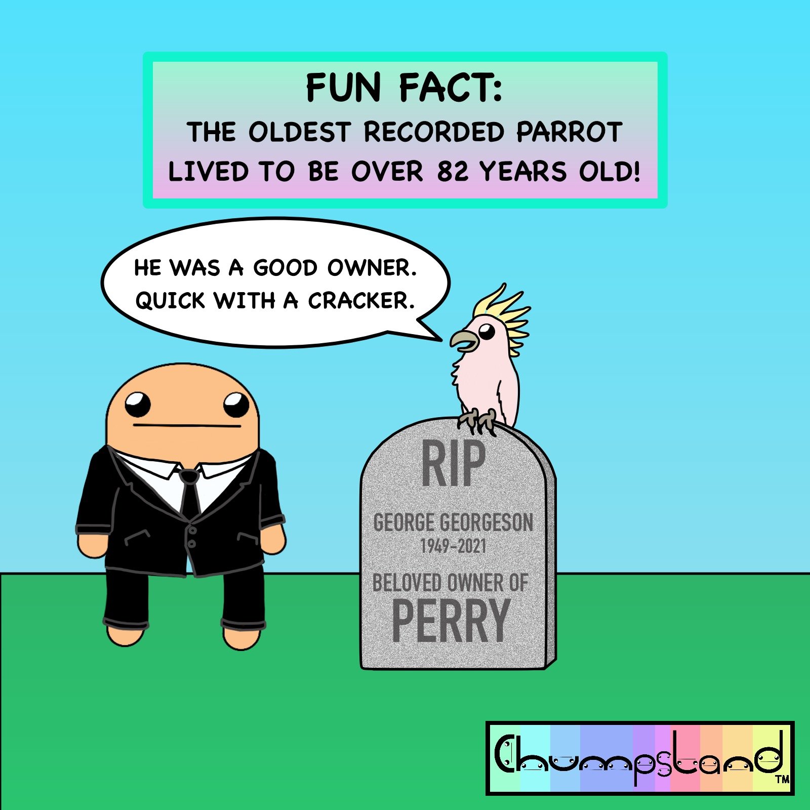 Fun Fact About Parrots