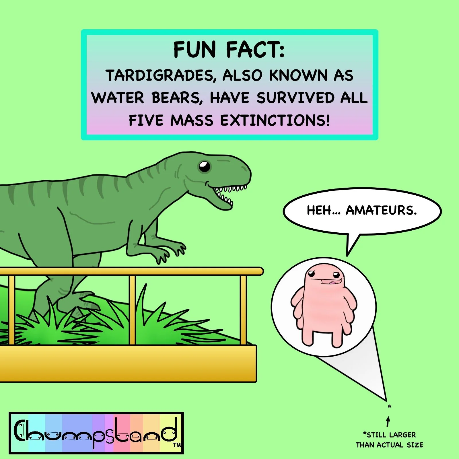 Fun Fact About Tardigrades