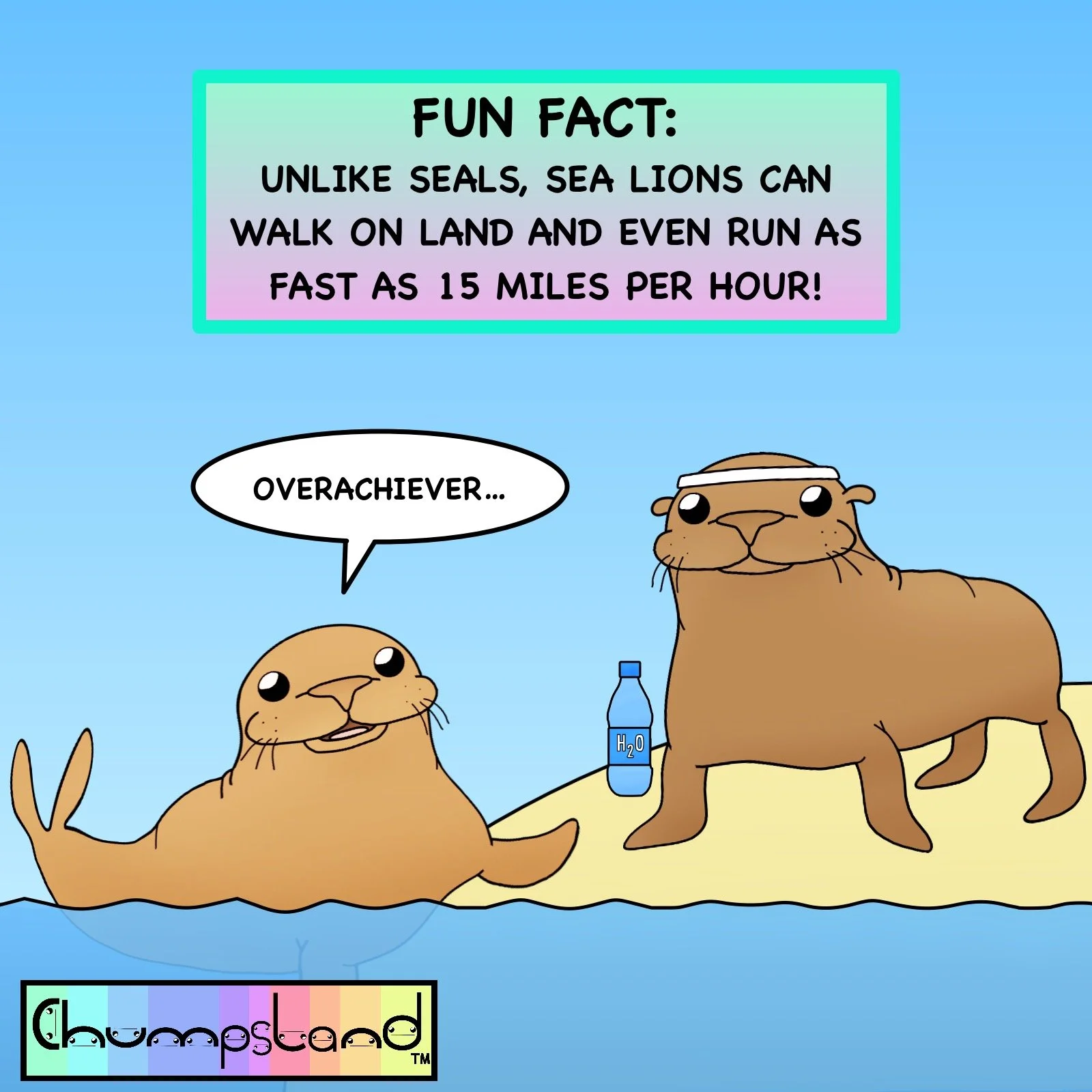Fun Fact About Sea Lions