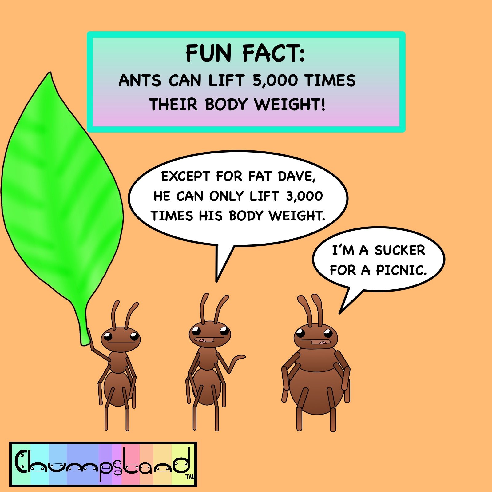 Fun Fact About Ants