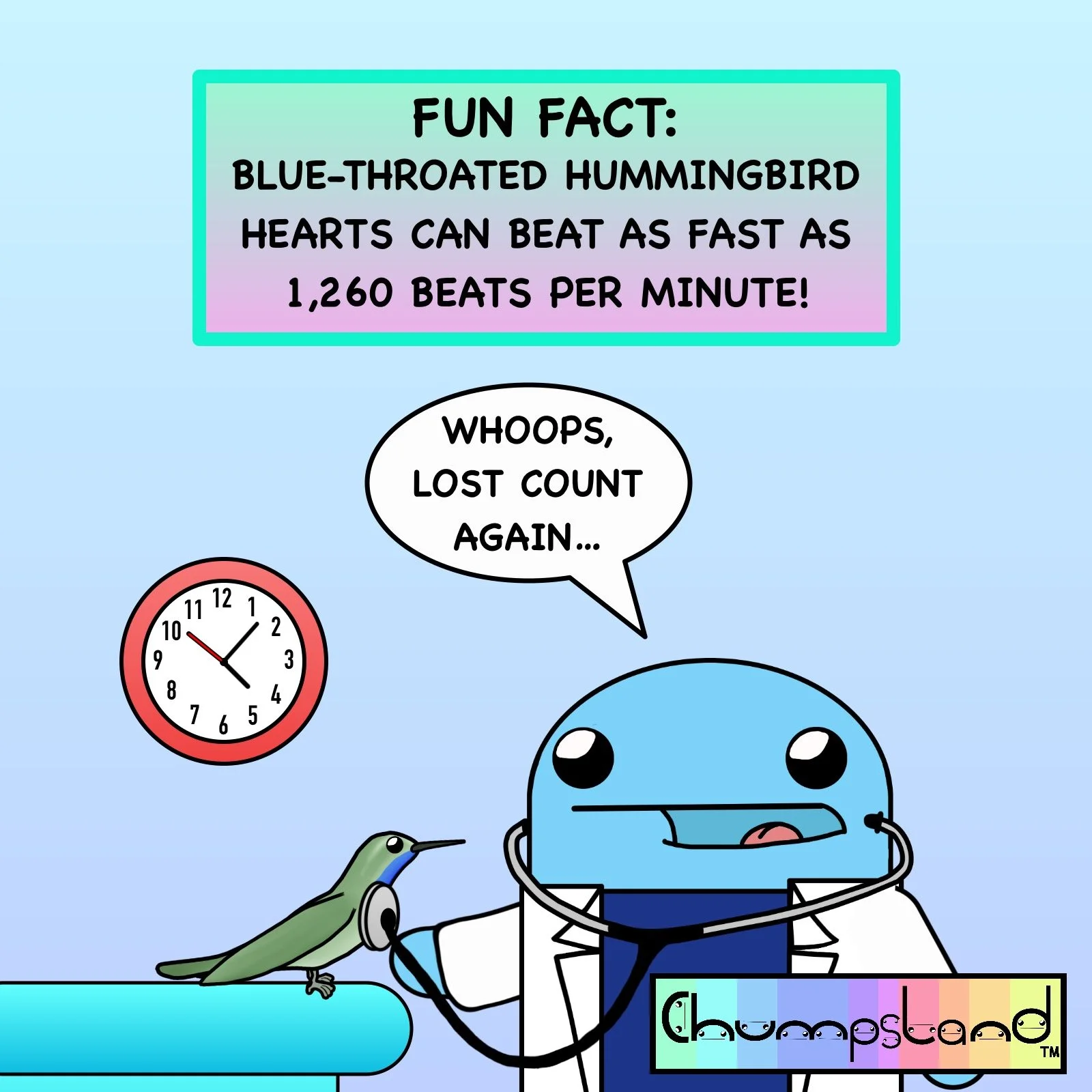 Fun Fact About Hummingbirds