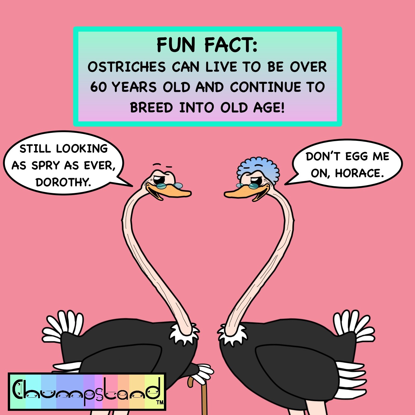 Fun Fact About Ostriches