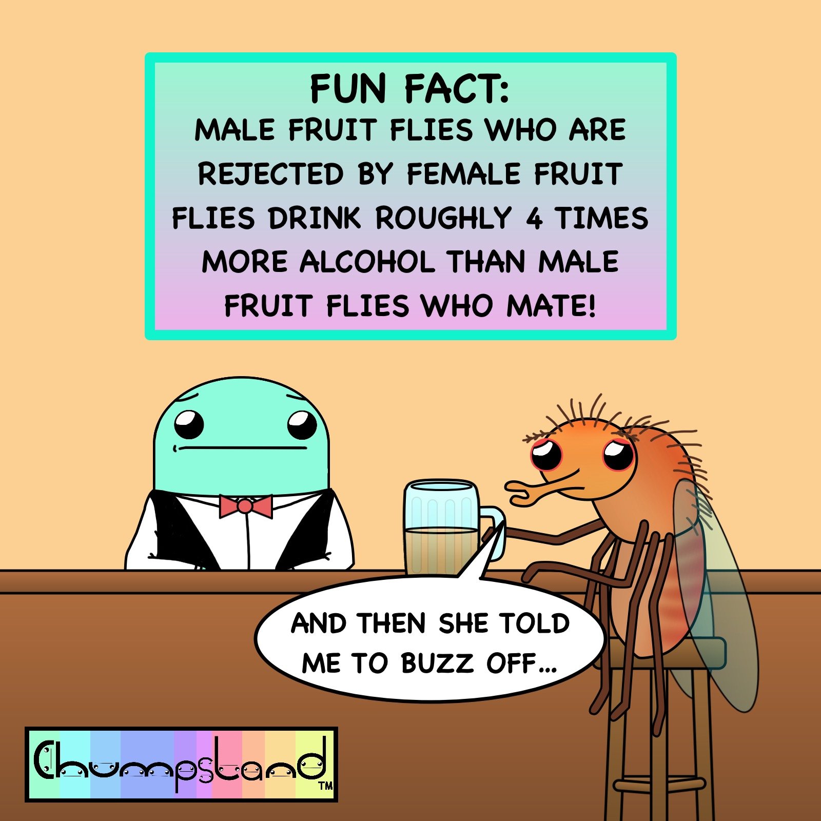 Fun Fact About Fruit Flies