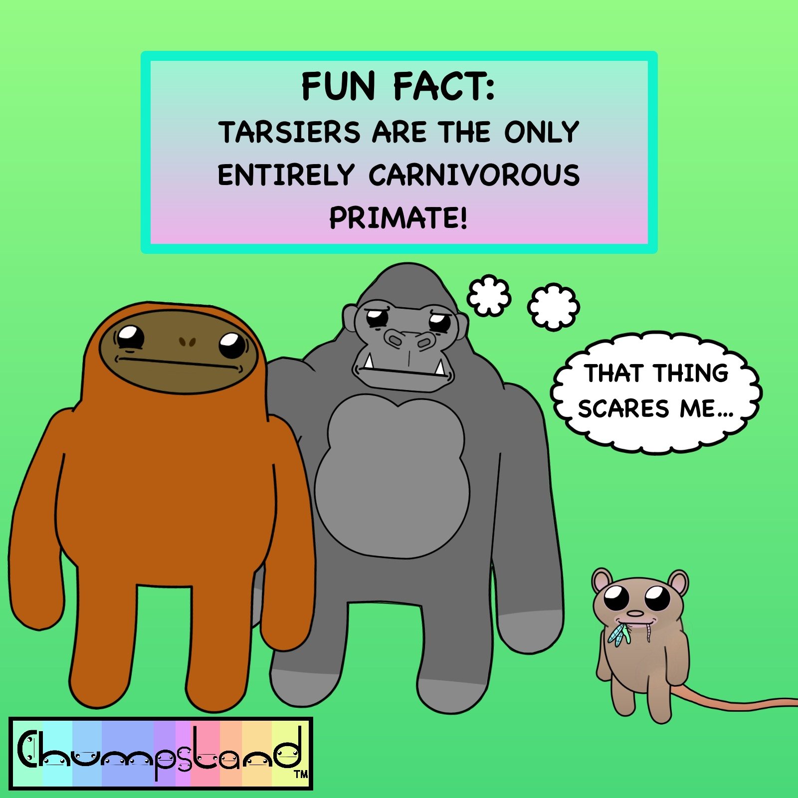 Fun Fact About Tarsiers