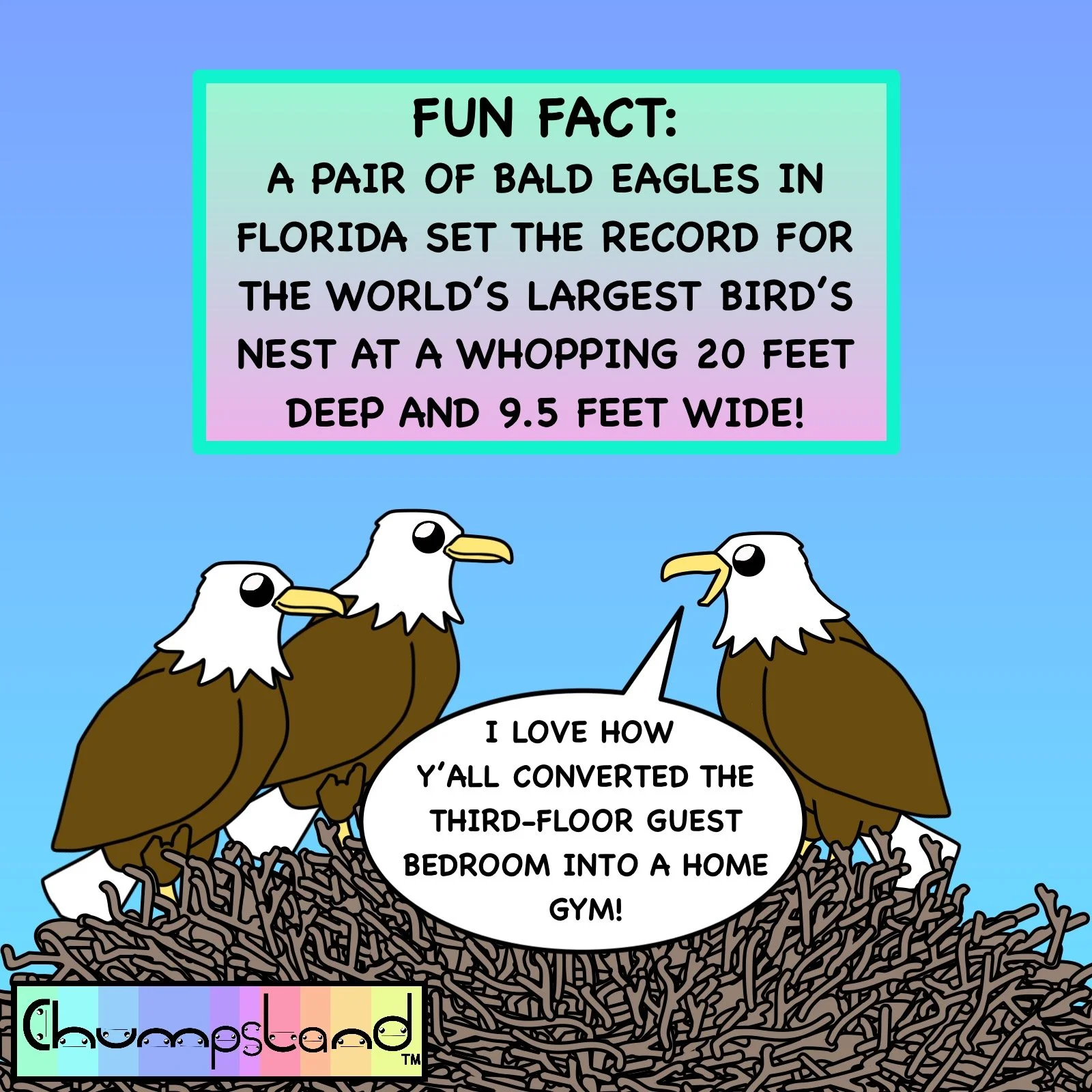Fun Fact About Bald Eagles