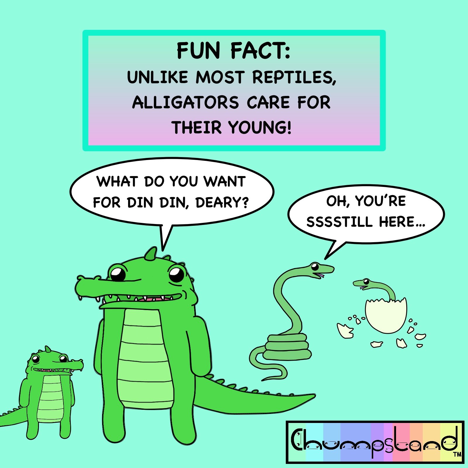 Fun Fact About Alligators