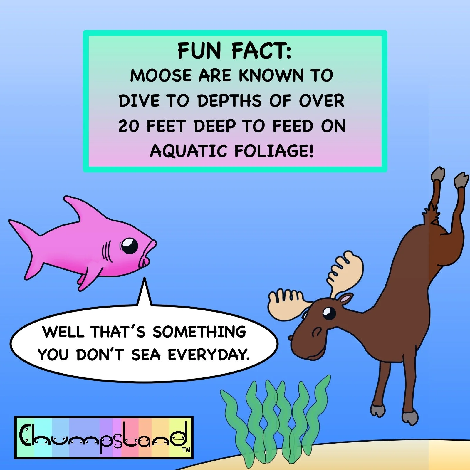 Fun Fact About Moose