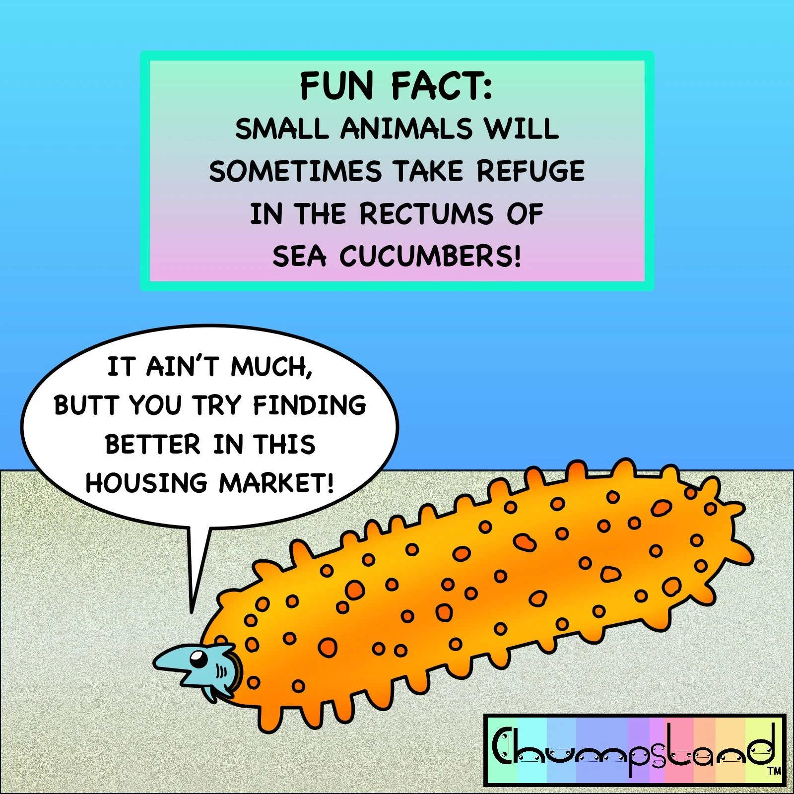 Fun Fact About Sea Cucumbers