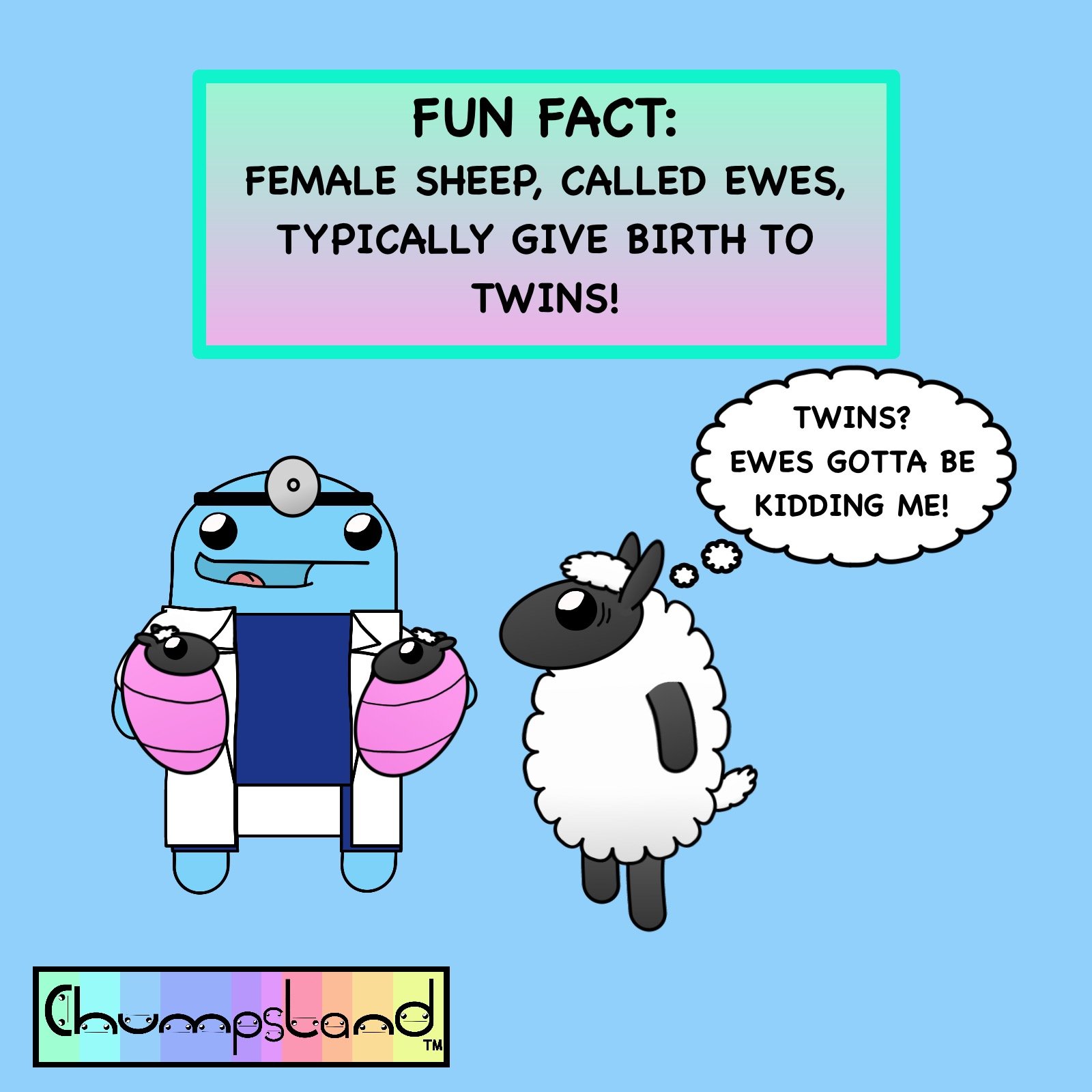 Fun Fact About Sheep