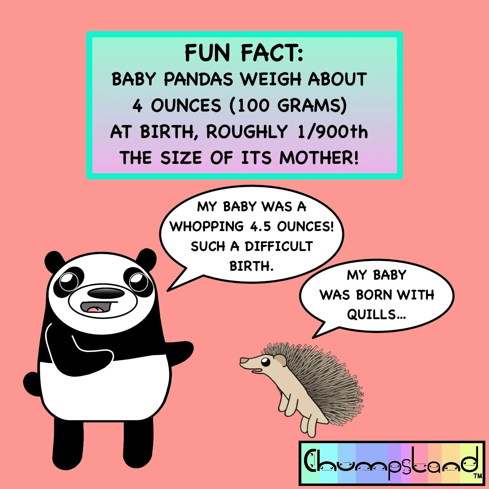 Fun Fact About Pandas