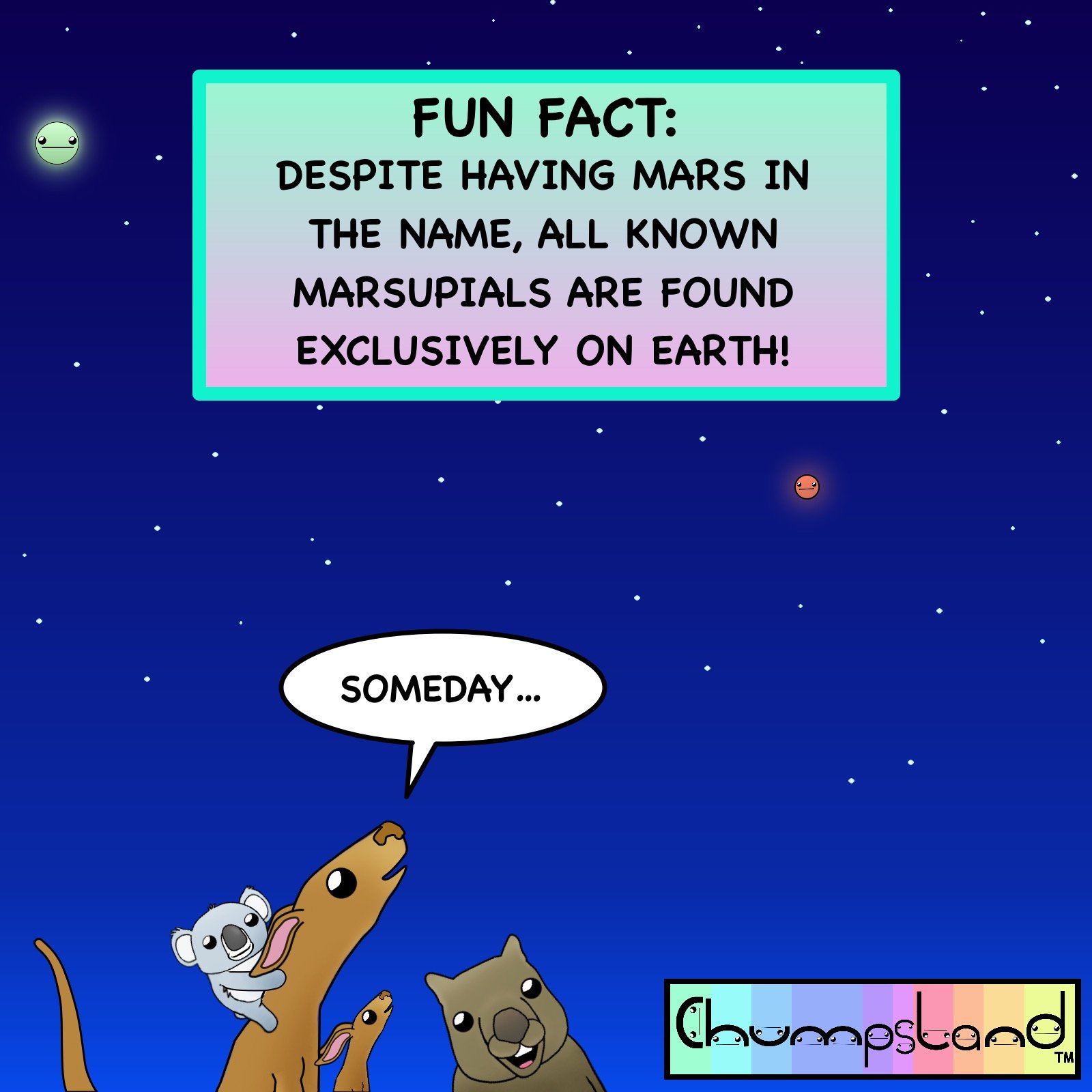 Fun Fact About Marsupials