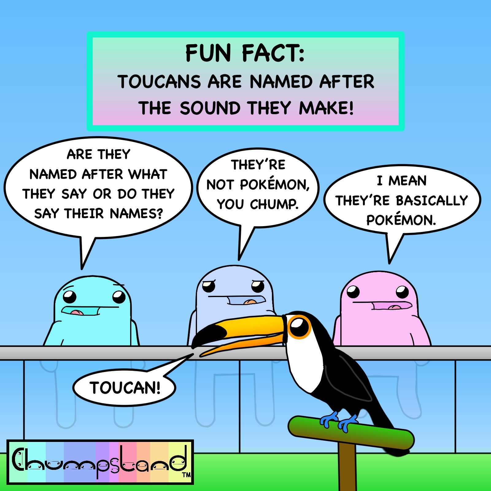 Fun Fact About Toucans