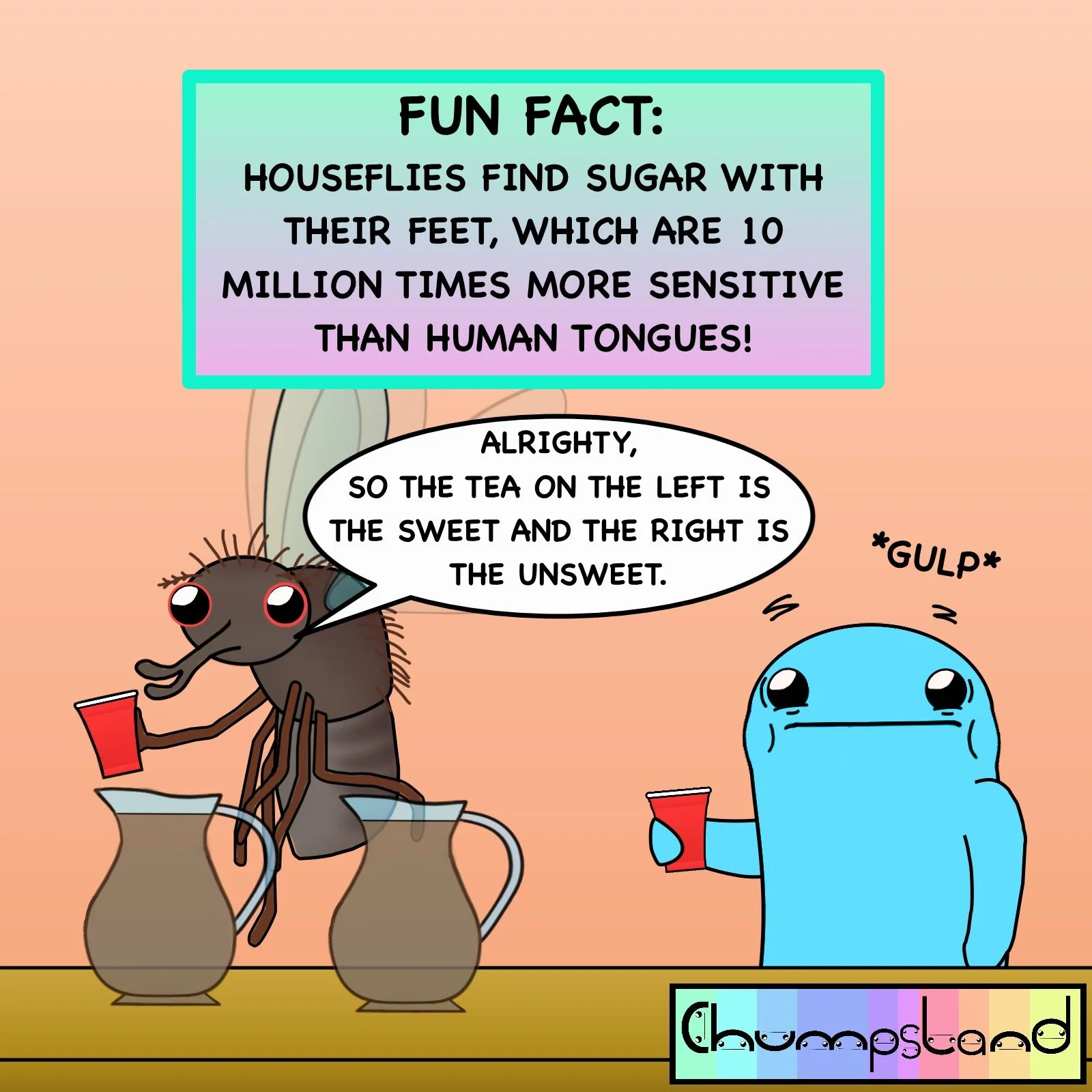 Fun Fact About Houseflies
