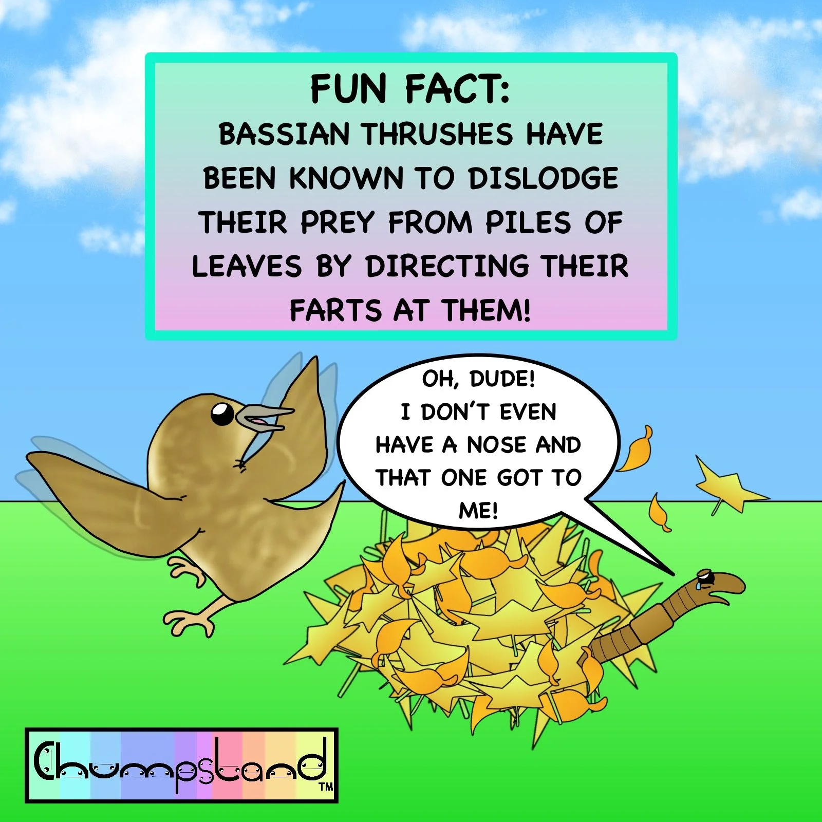 Fun Fact About Bassian Thrushes