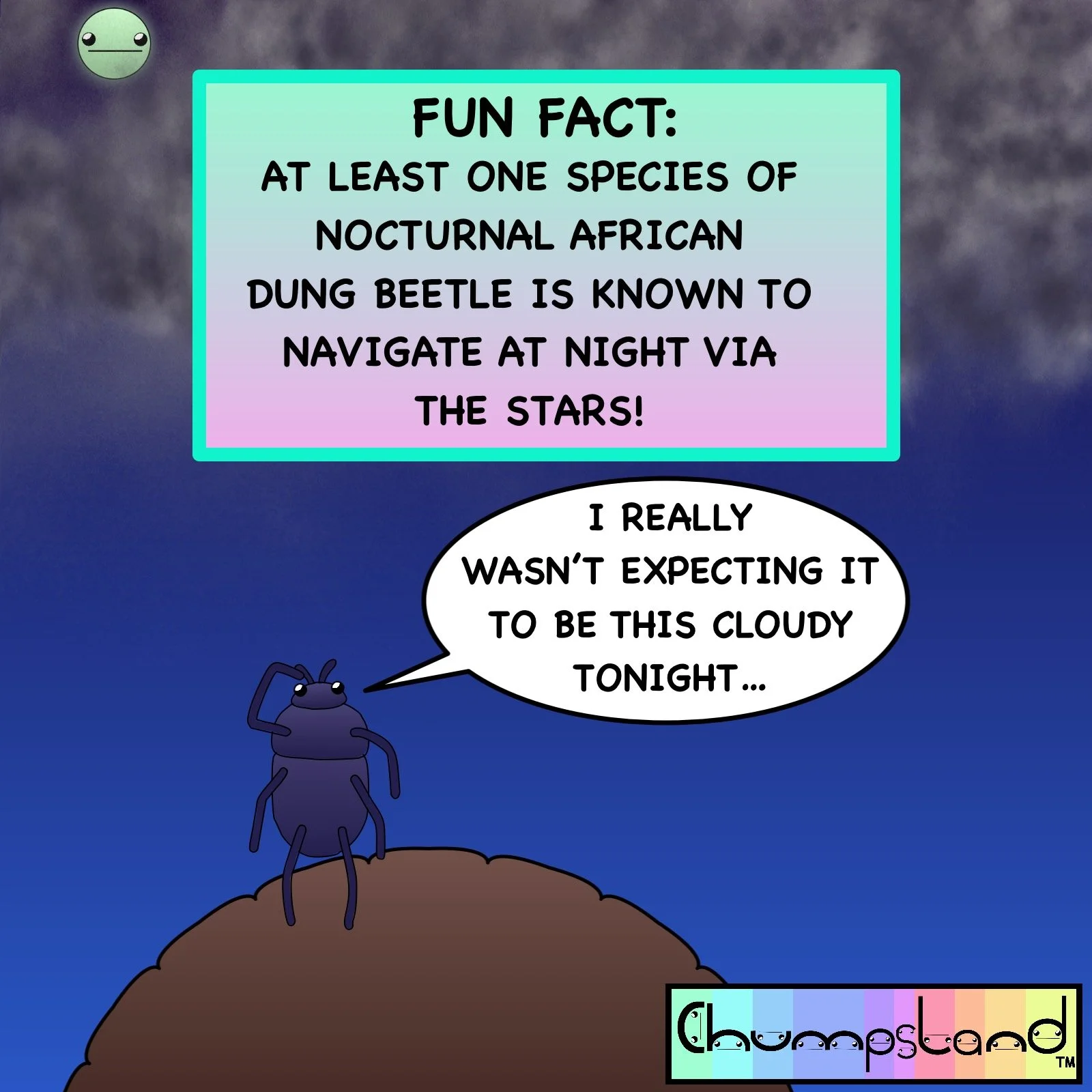 Fun Fact About Dung Beetles